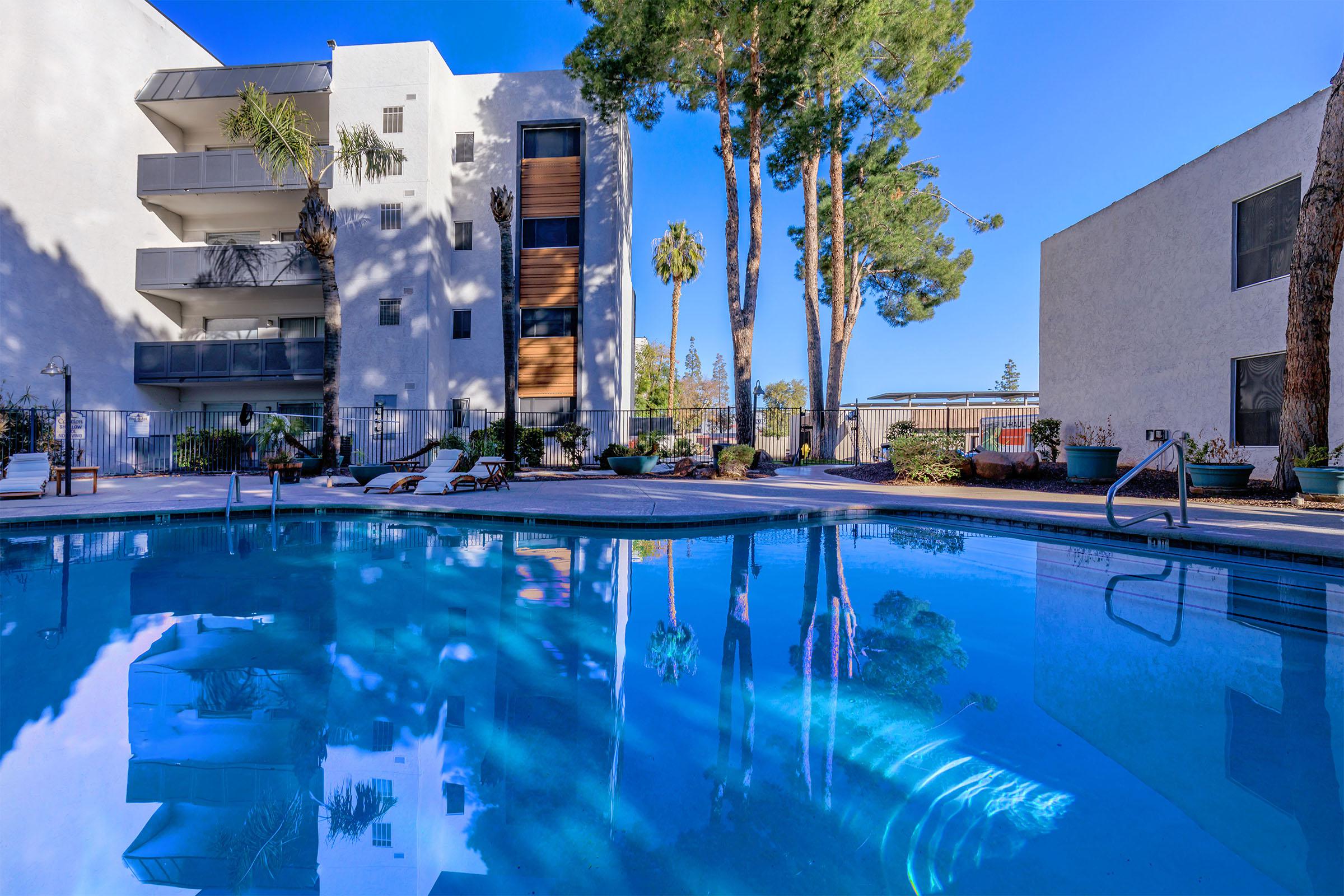 A view of a swimming pool surrounded by lounge chairs, with palm trees and tall buildings in the background. The clear blue water reflects the sky and the surrounding architecture.