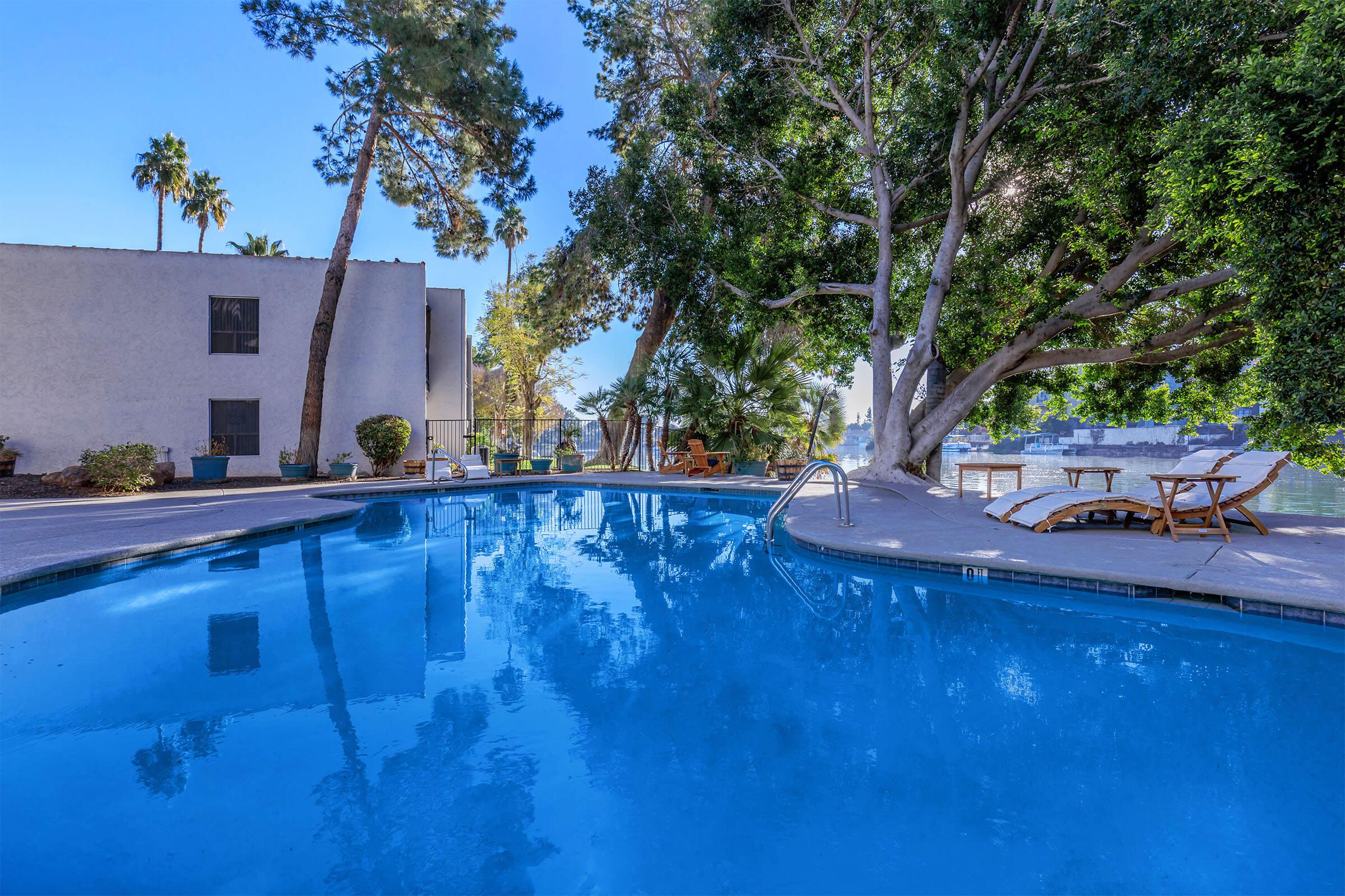 A tranquil swimming pool surrounded by lush greenery and palm trees, with comfortable lounge chairs nearby and a clear blue sky reflecting on the water's surface.