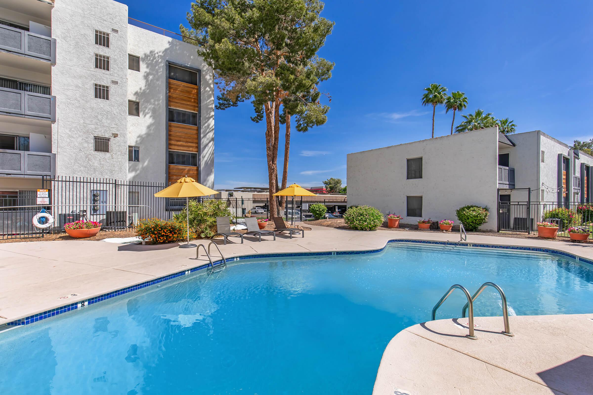 A clear blue swimming pool surrounded by a landscaped deck with lounge chairs and umbrellas. In the background, there are two multistory apartment buildings and palm trees under a bright blue sky. The area is well-maintained, creating a relaxing outdoor atmosphere.