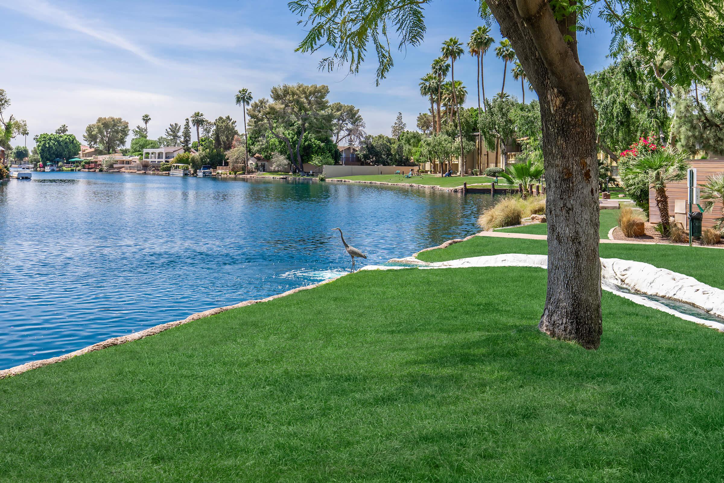Scenic waterfront view featuring a tranquil lake surrounded by lush green grass and palm trees. A solitary crane stands near the water's edge, with residential homes visible in the background under a clear blue sky.