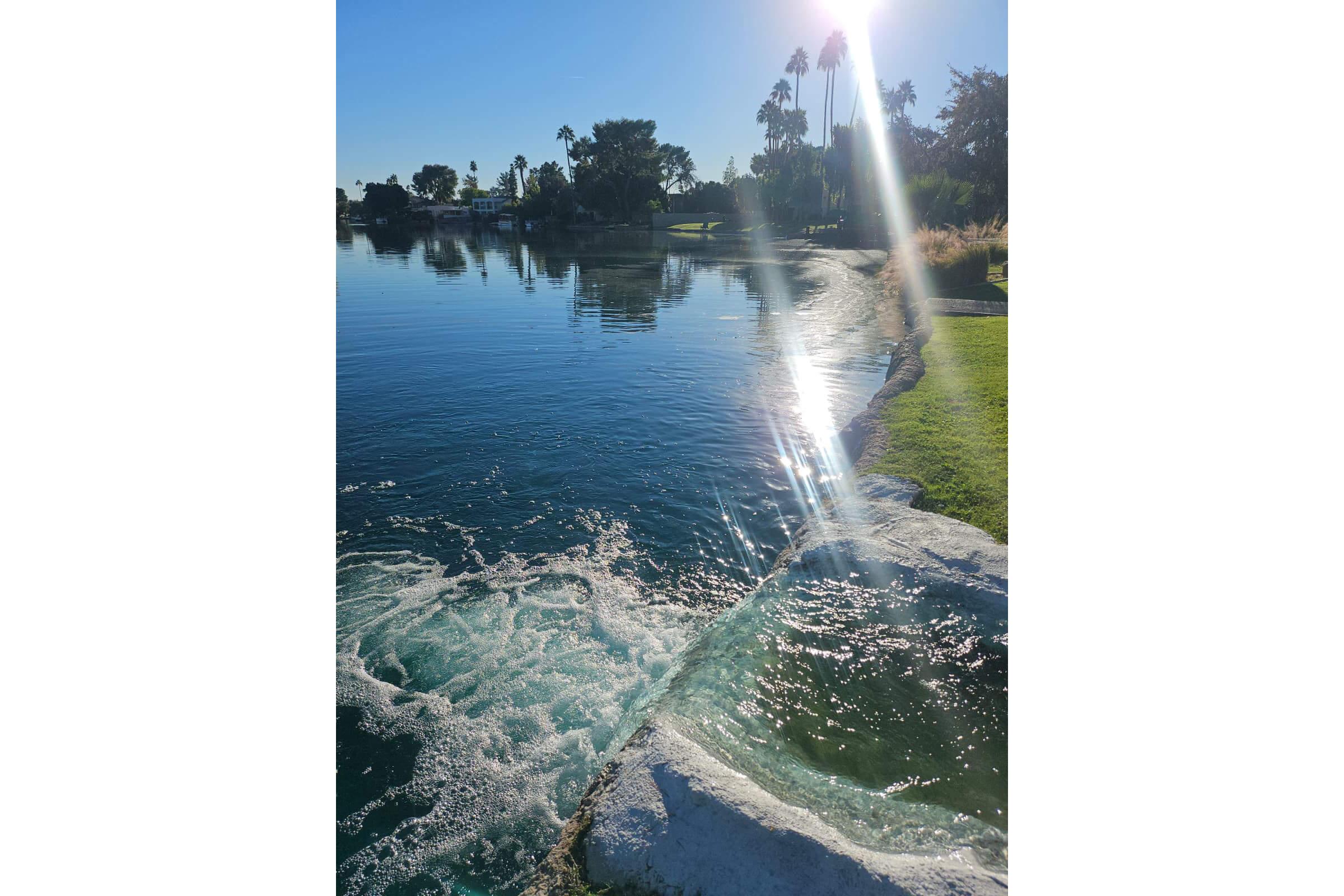 A serene view of a calm body of water reflecting sunlight, with gentle waves lapping against a white edge. Lush green grass and palm trees line the shore, and the sky is clear with a bright sun casting a glimmer on the water's surface.