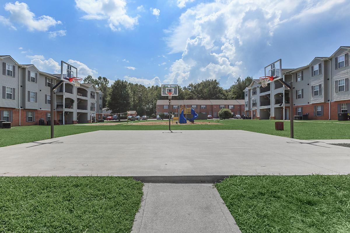 Basket Balls Courts