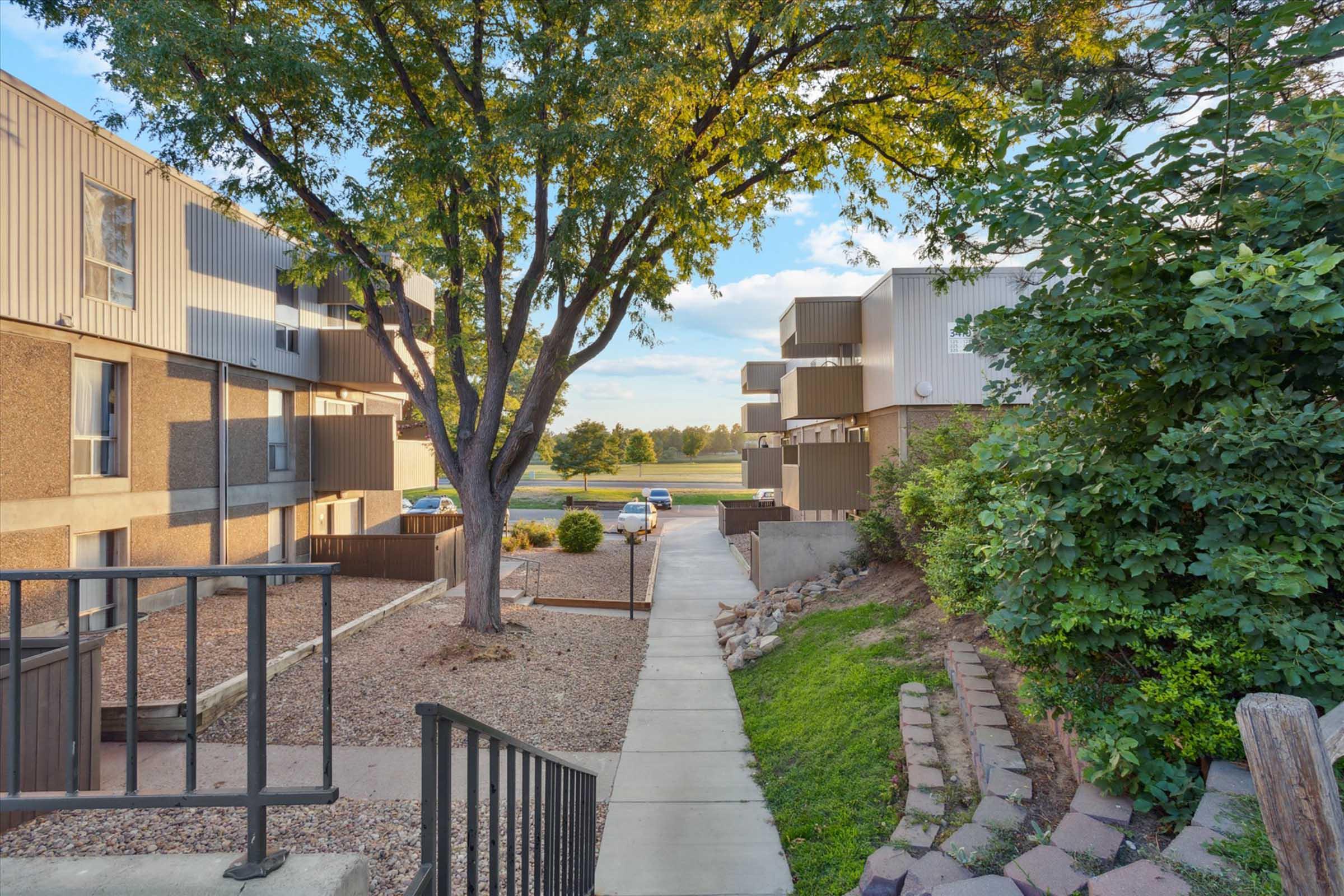 A pathway surrounded by greenery leads through an apartment complex. Two blocks of multi-story buildings are visible on either side, with a tree providing shade. The scene is well-lit, showcasing paved walkways and landscaped areas, creating a pleasant living environment.