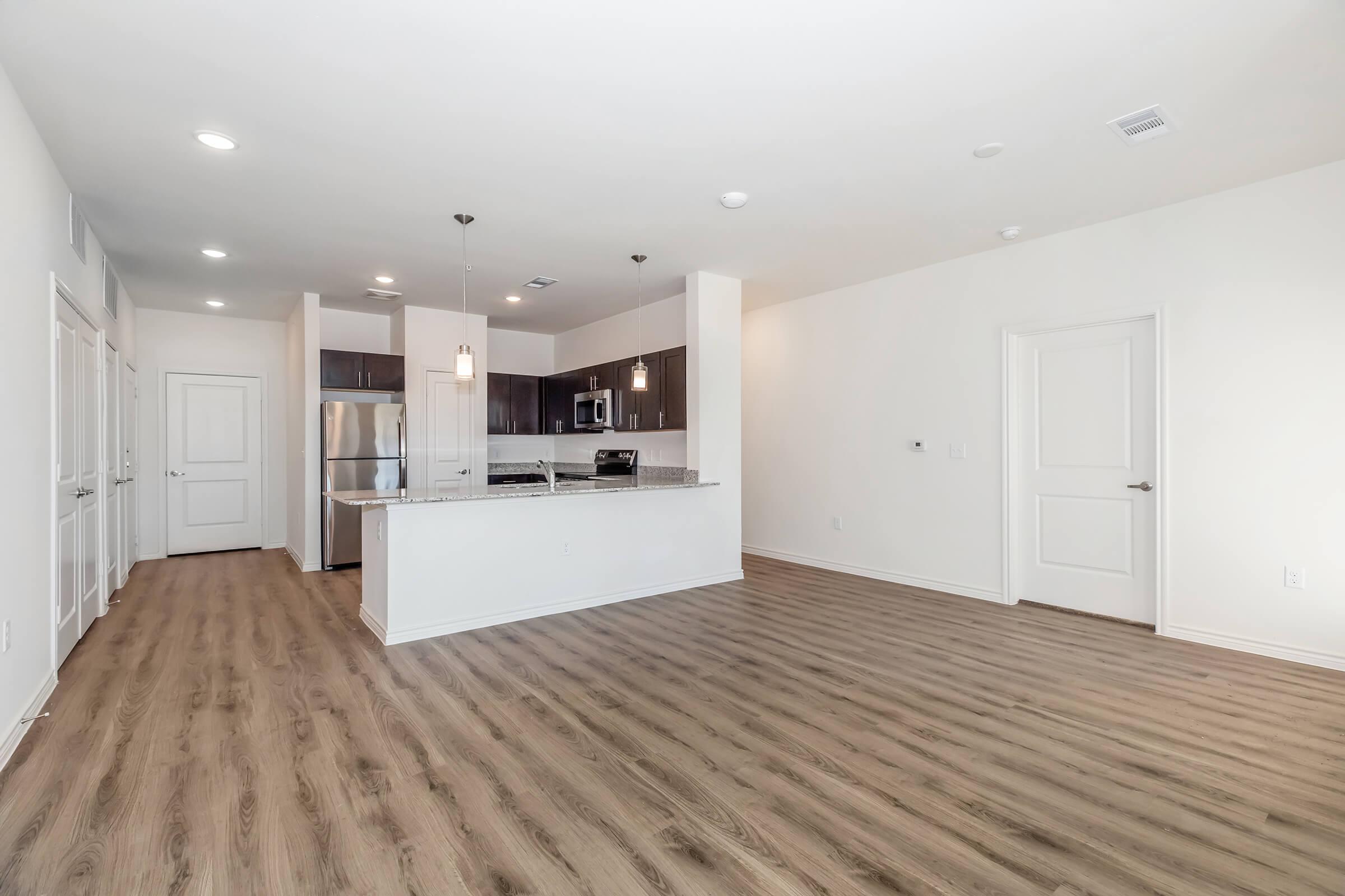 Modern open-concept living area featuring light wood flooring, a stylish kitchen with dark cabinetry, and stainless steel appliances. A spacious layout with ample natural light and access to multiple doors leading to other rooms or areas. White walls create a bright and airy feel.