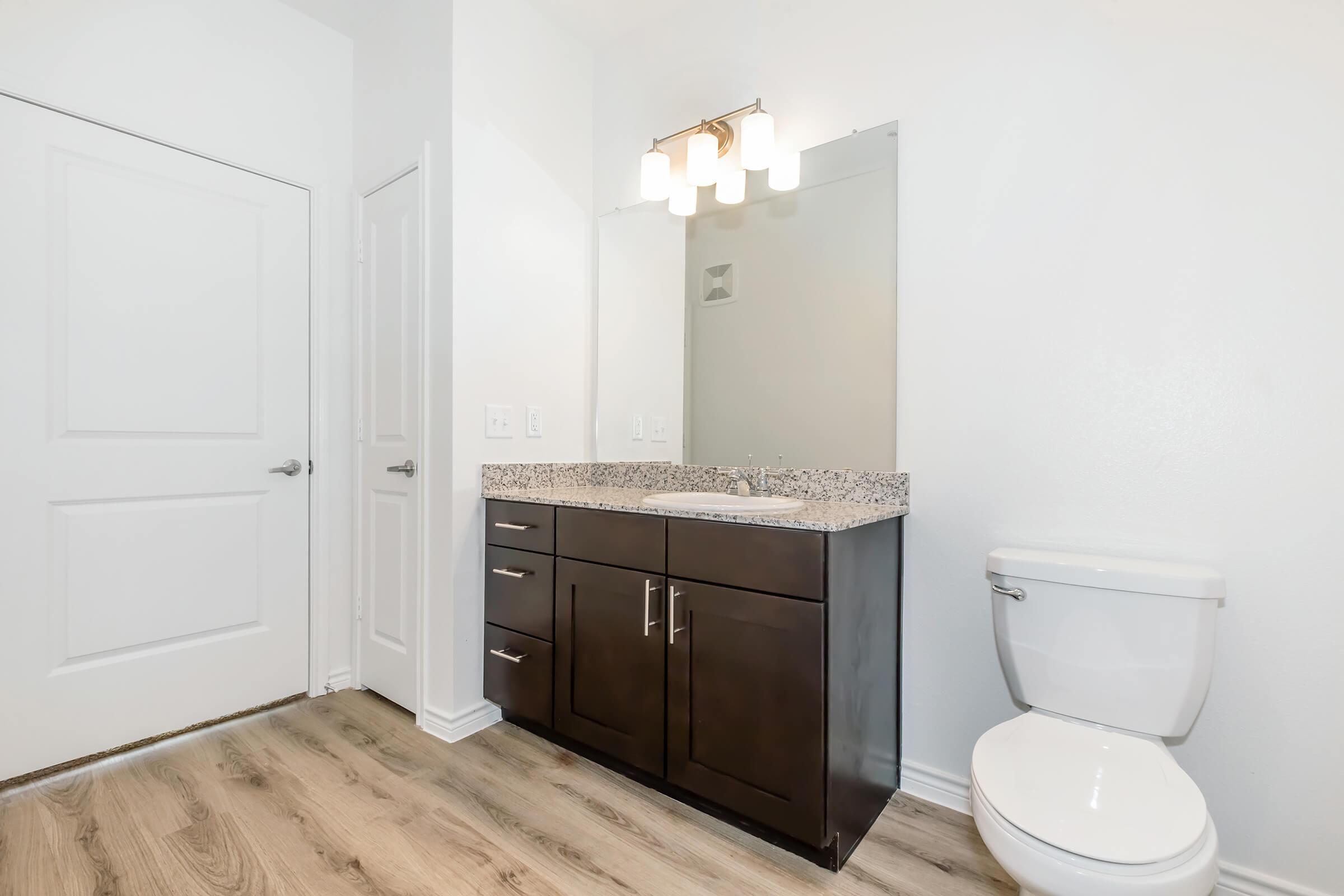 A modern bathroom featuring a white wall, a large mirror above a dark wood vanity with a granite countertop, and a toilet. The floor is made of light wood, and there is a closed door on the left side of the image. The lighting includes a fixture above the mirror with four bulbs.