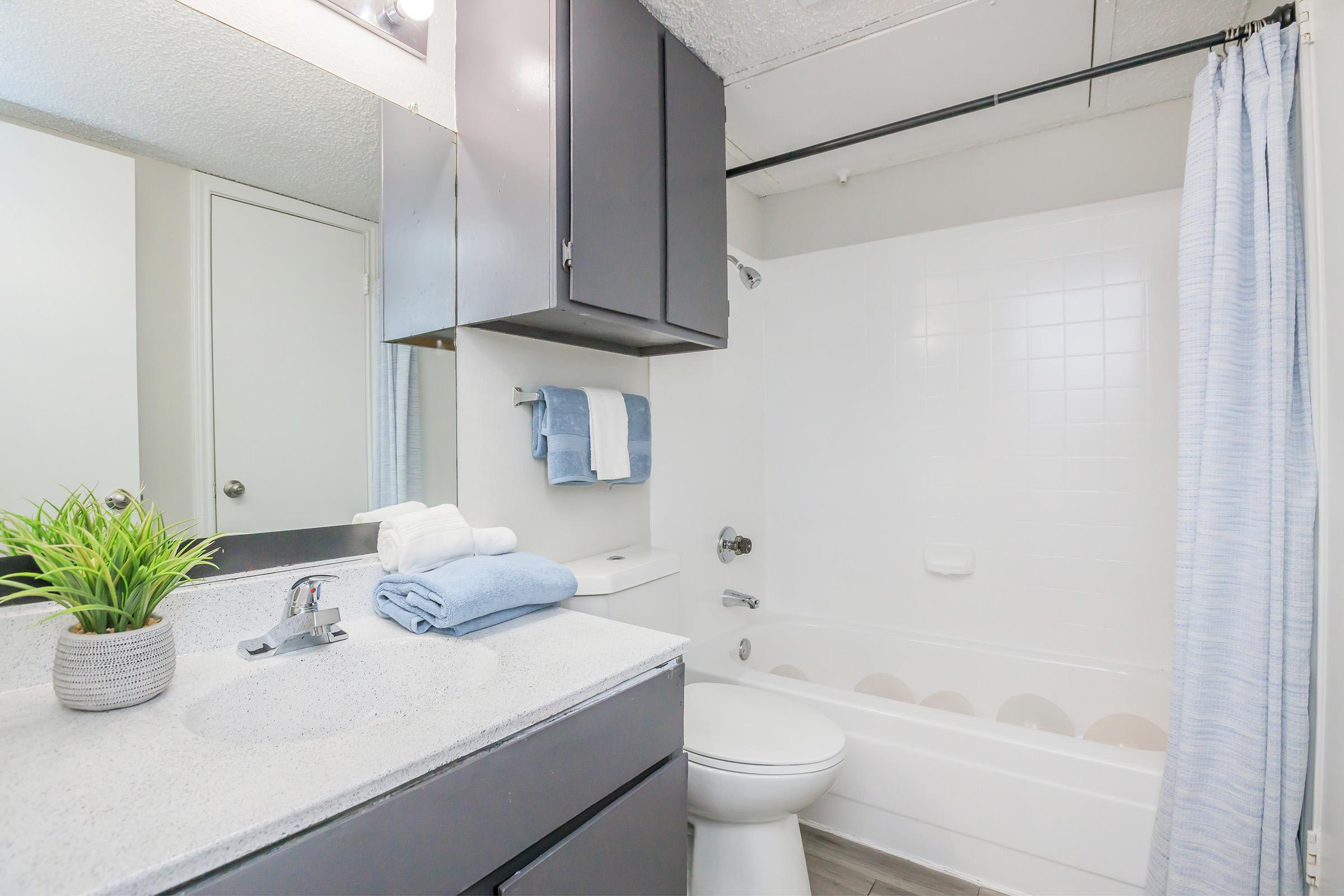 A modern bathroom featuring a white bathtub with a shower, a light-colored countertop with neatly arranged towels and a small plant, dark cabinetry, and a large mirror above the sink. Bright lighting enhances the clean and spacious appearance.