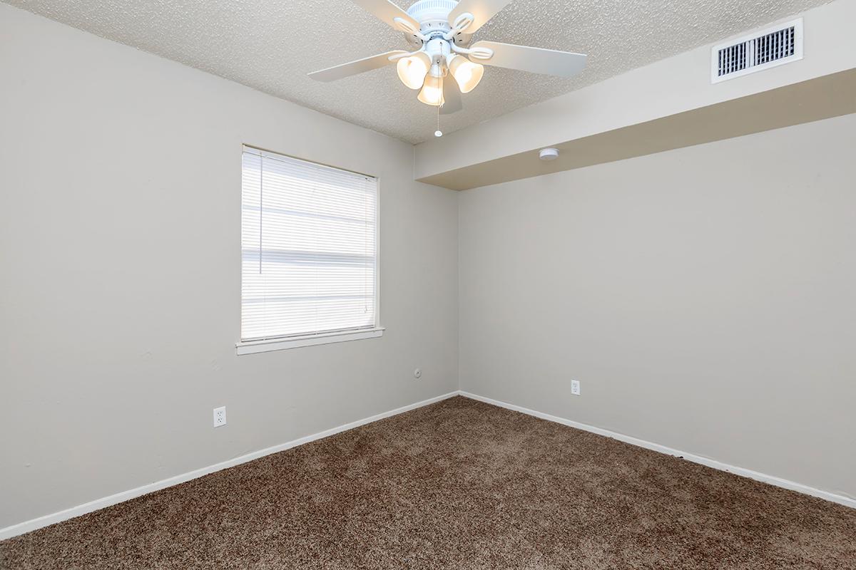 MINI BLINDS AND CARPETED FLOORS