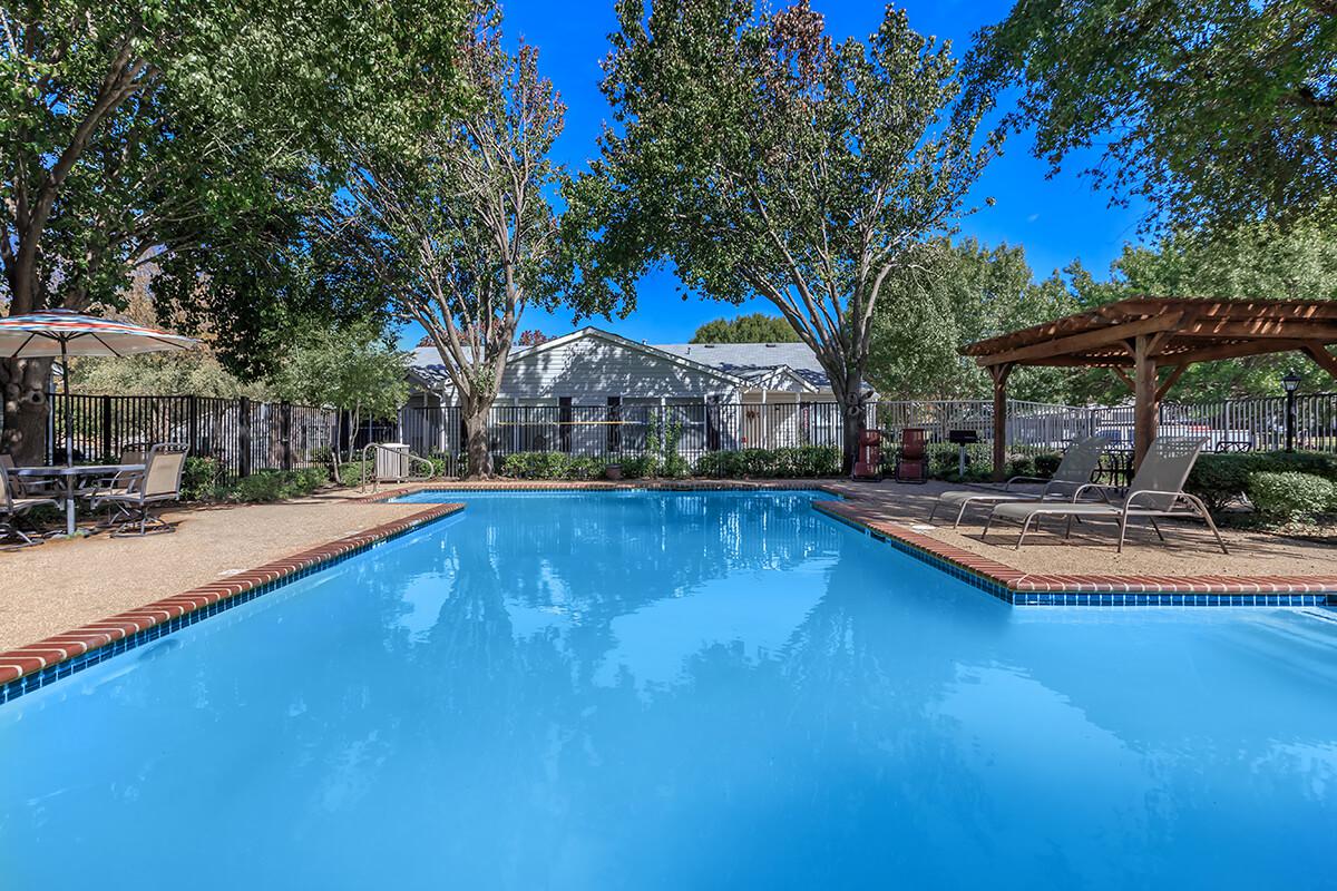 a pool next to a tree