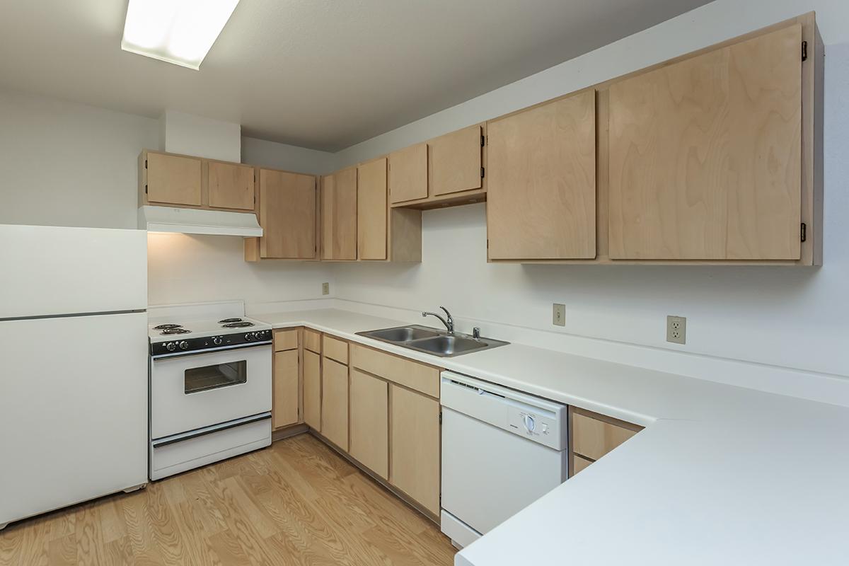 a kitchen with a stove sink and refrigerator