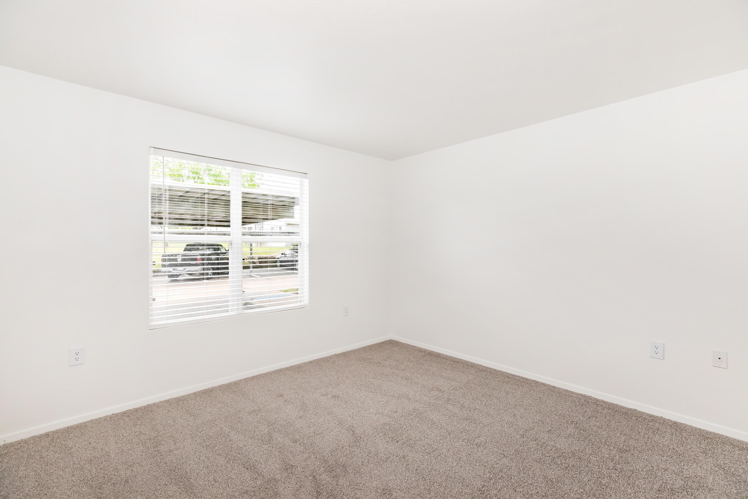 Empty room with light-colored walls and a carpeted floor. A large window with white blinds allows natural light to enter, revealing a glimpse of an outdoor area. The space is unfurnished, creating a clean and minimalistic appearance suitable for various uses.