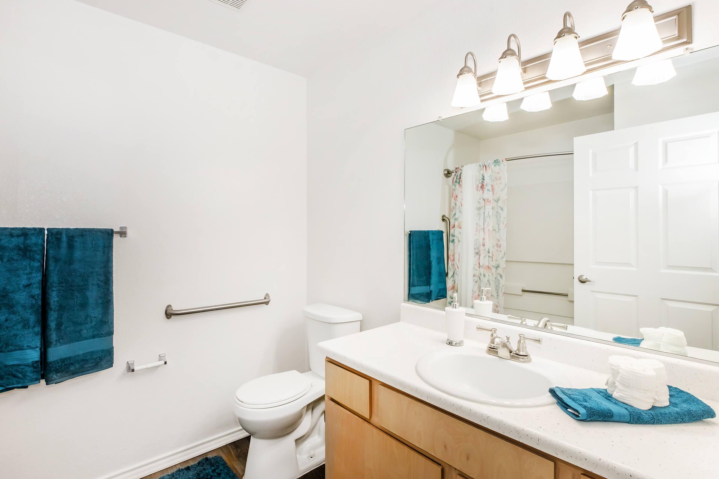 Spacious bathroom featuring a white wall, light-colored wooden cabinetry, a modern sink with a faucet, and a large mirror. Soft blue towels hang on a rack, and a shower curtain with a floral pattern is visible. Bright lighting from fixtures above enhances the clean and fresh atmosphere.