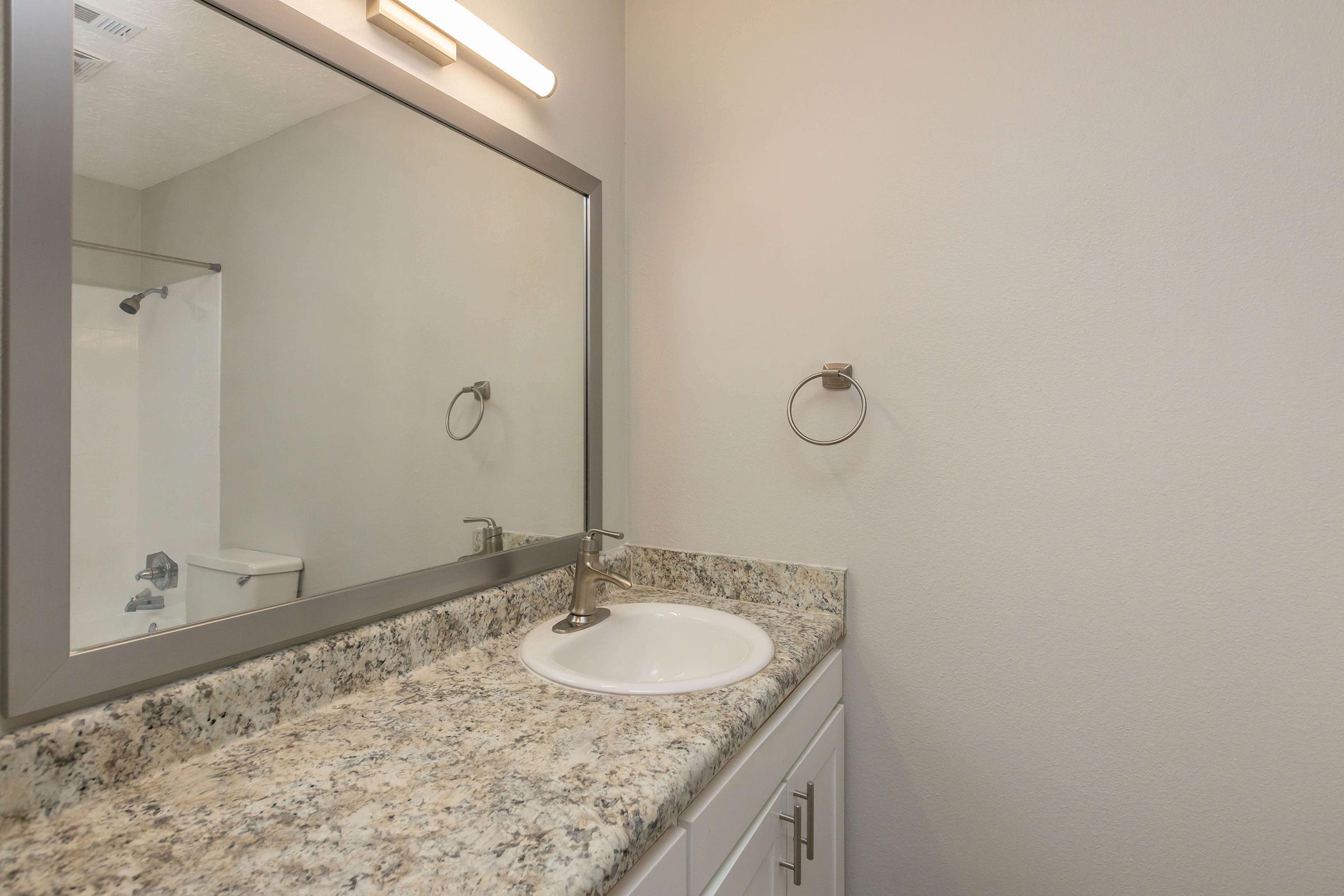 a double sink and large mirror