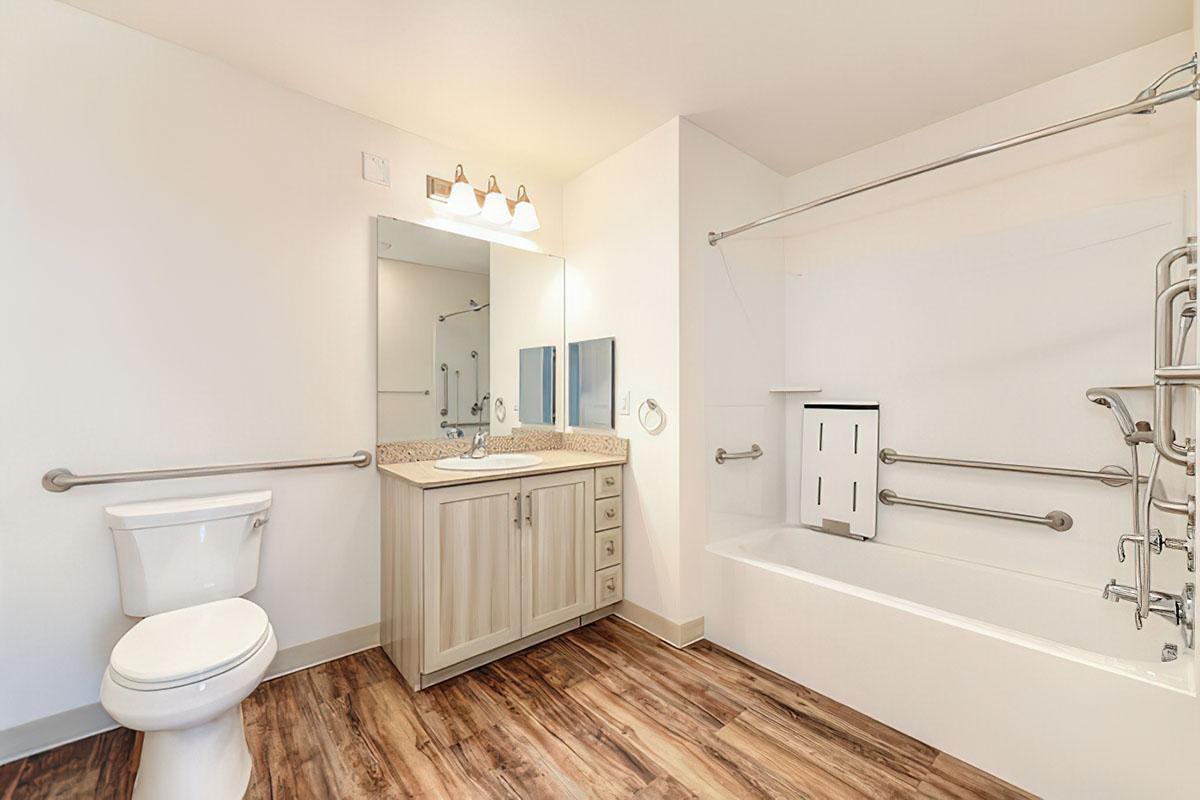 A clean, modern bathroom featuring a white bathtub with grab bars, a white toilet, a light-colored vanity with a granite countertop and sink, and a large mirror.
