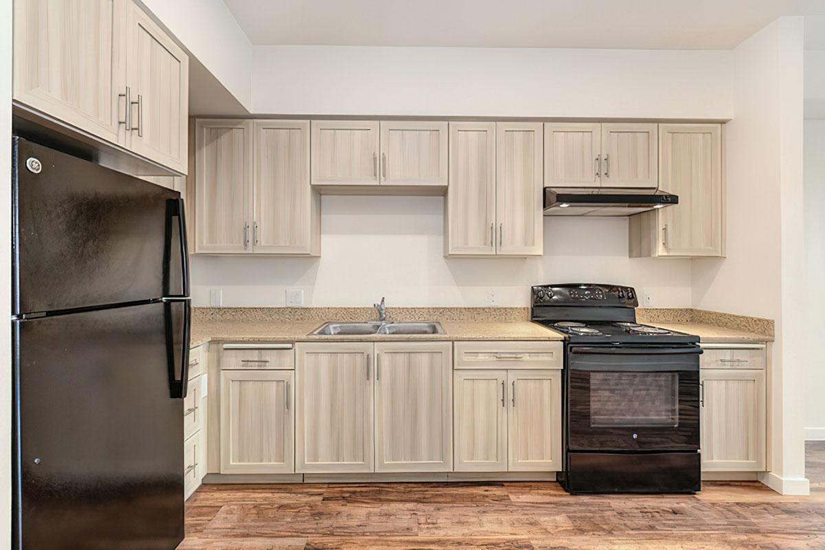 Modern kitchen featuring light wood cabinetry, a granite countertop, a black refrigerator, and a black stove with an overhead hood.