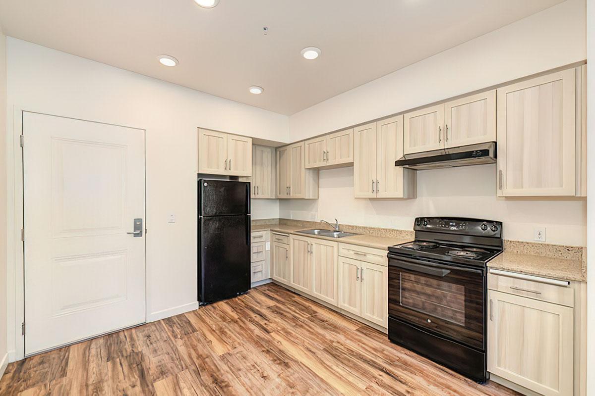 Modern kitchen featuring light-colored cabinets, granite countertops, a black refrigerator, and a black stove with an overhead microwave.