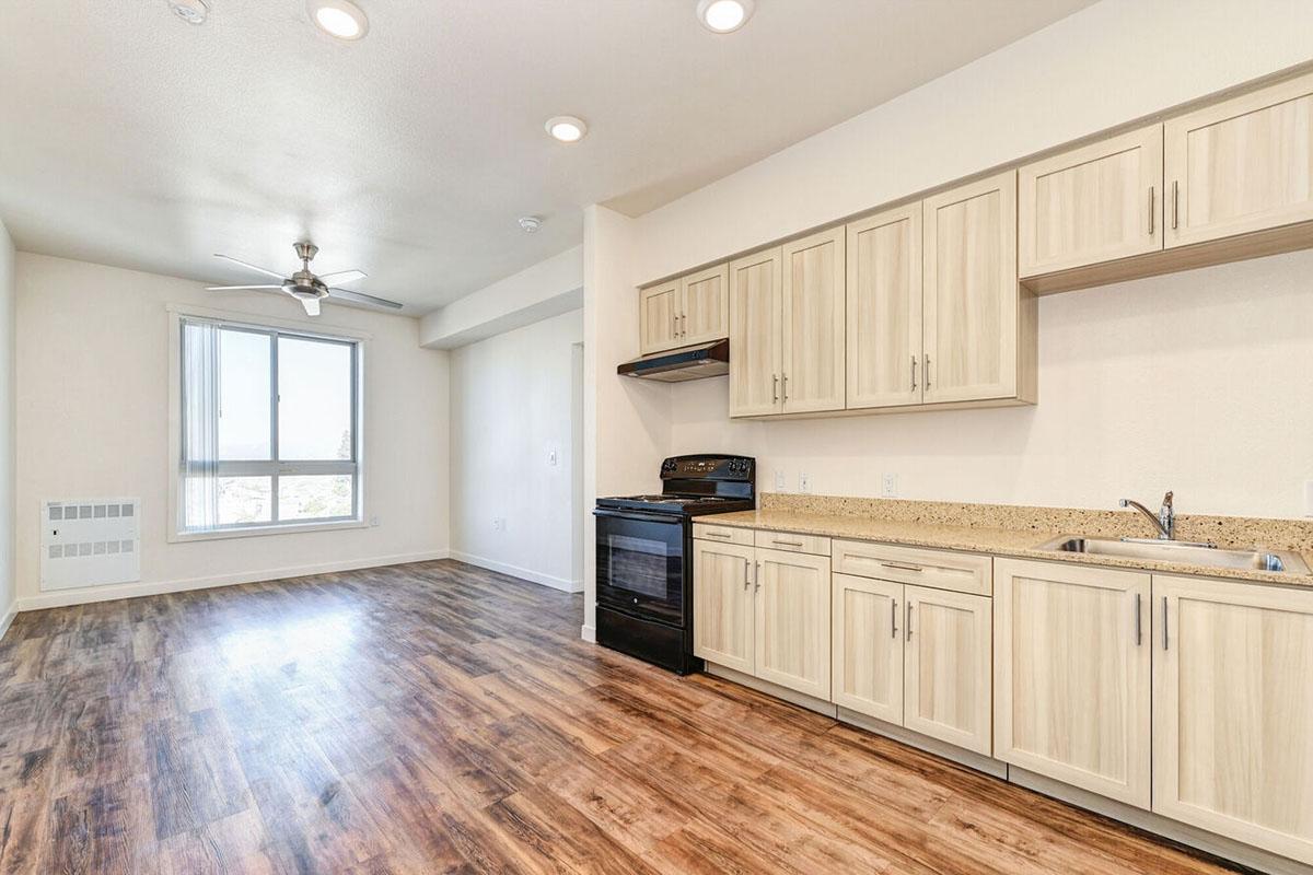 Modern kitchen and living area featuring light wooden cabinetry, a black stove and oven, and a granite countertop