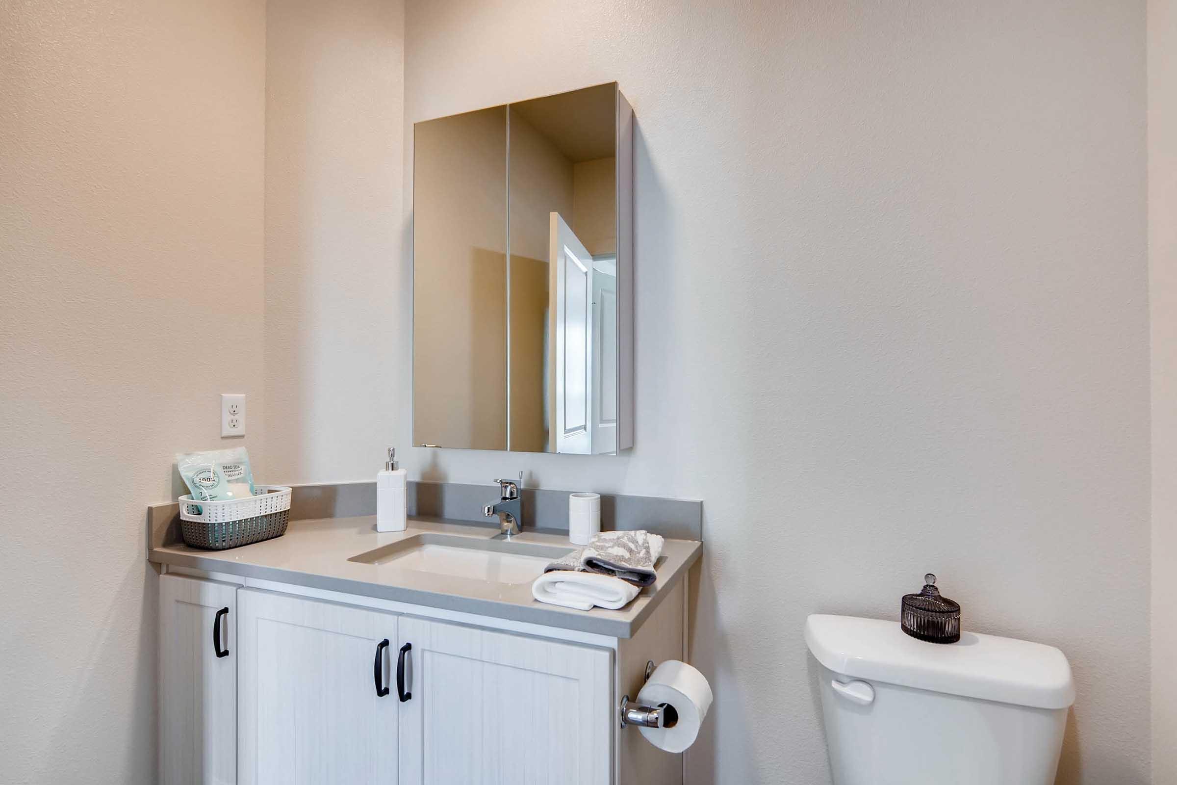 A modern bathroom featuring a vanity with a mirror, a sink, and a storage cabinet.