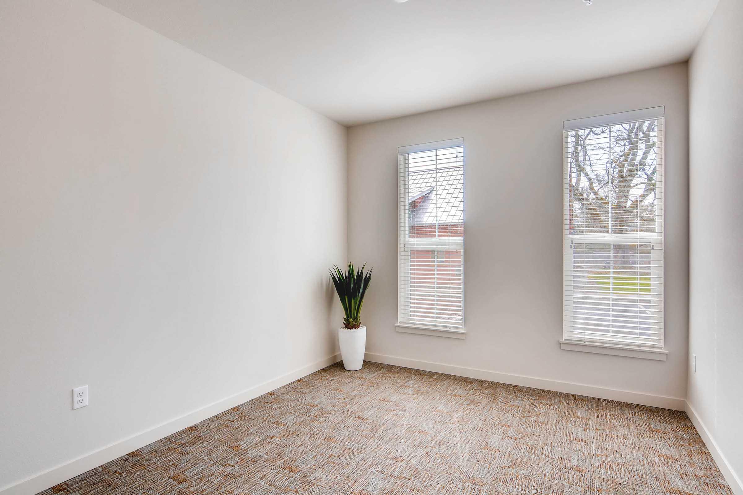 A bright, empty room featuring two windows with white blinds and a decorative plant in a white pot.