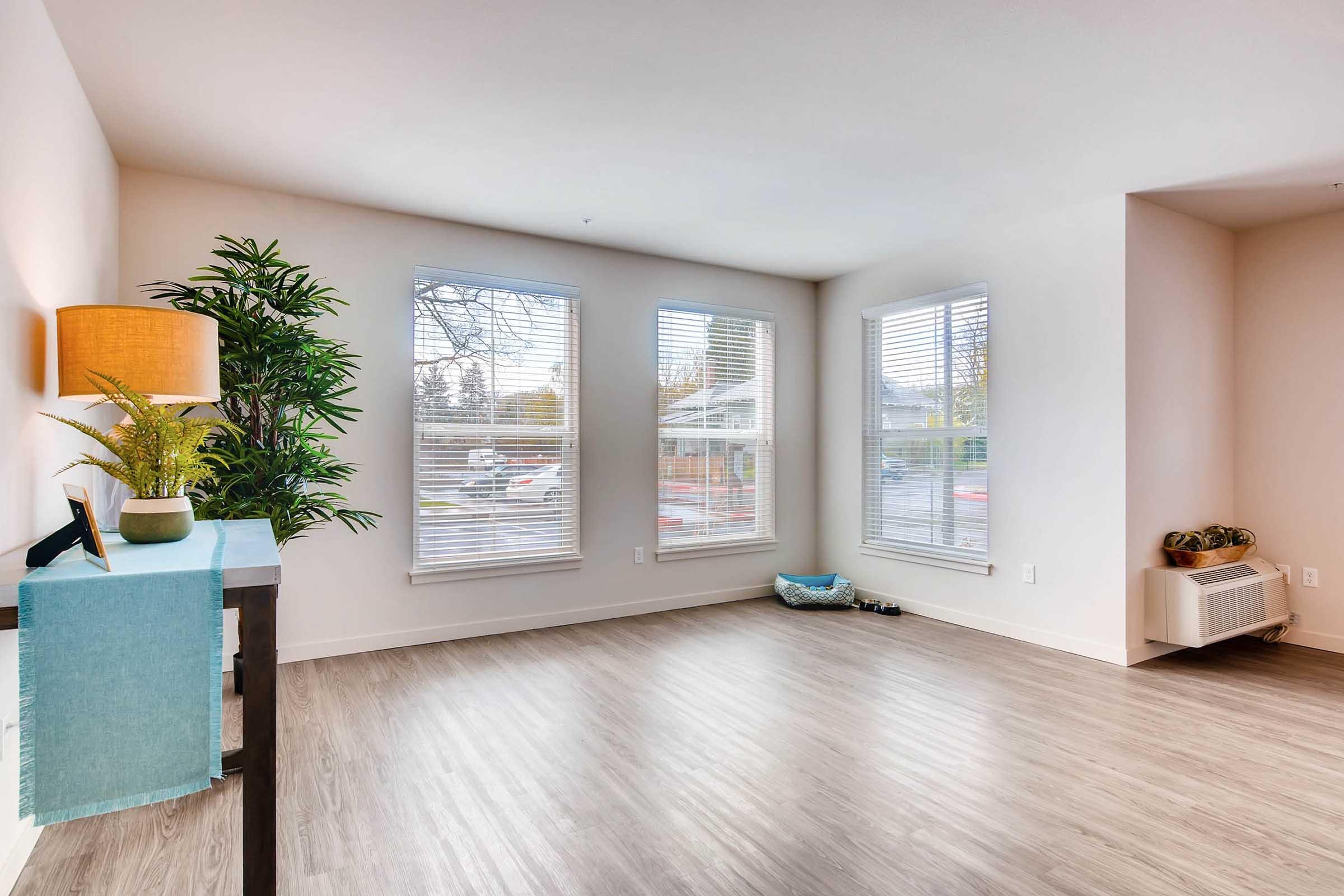 Bright, spacious living room with large windows and natural light. Features wood-look flooring, a decorative plant, a console table with a turquoise runner, and minimal decor.