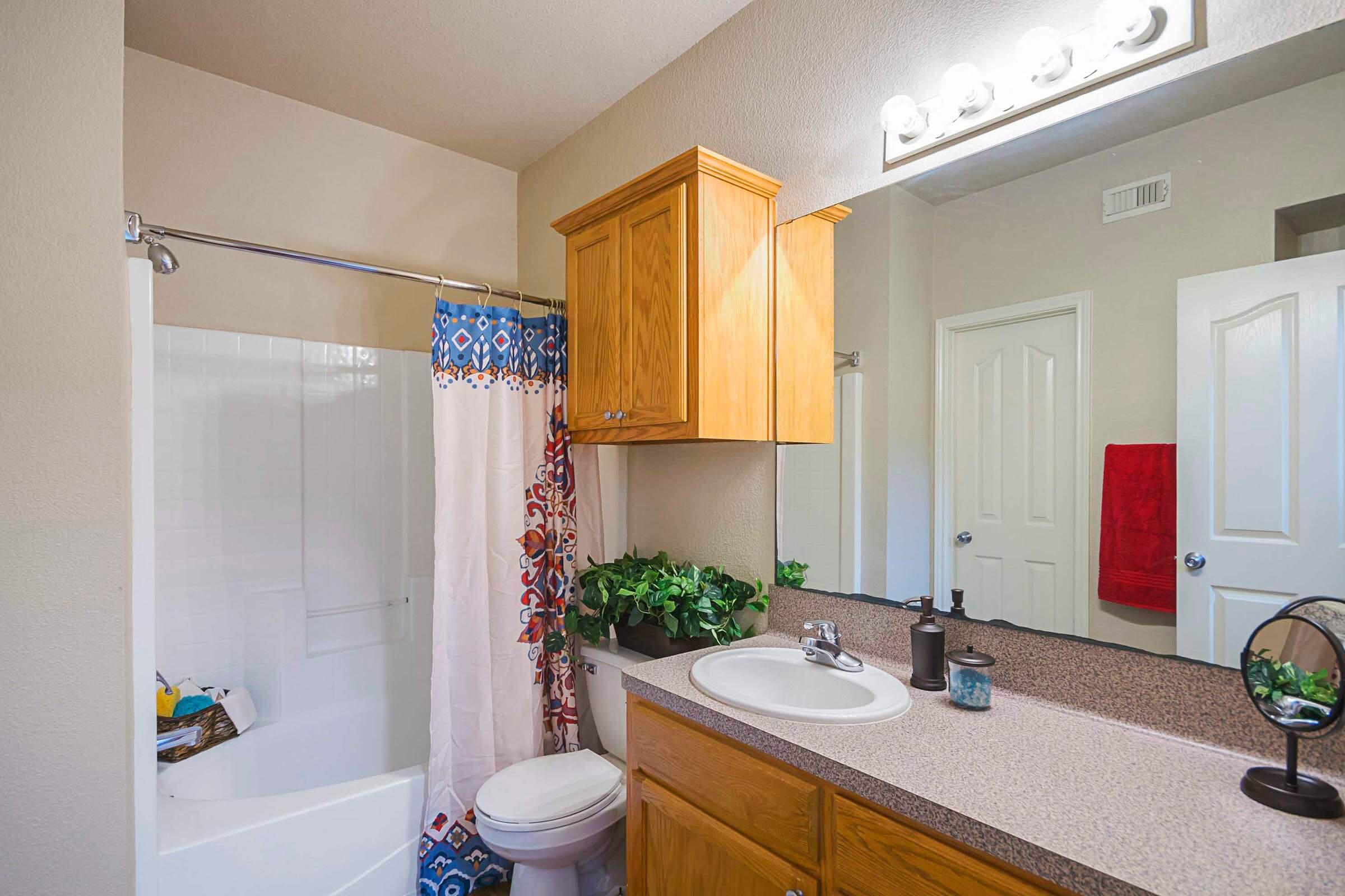 Model_Unit_One_Bathroom.jpg
