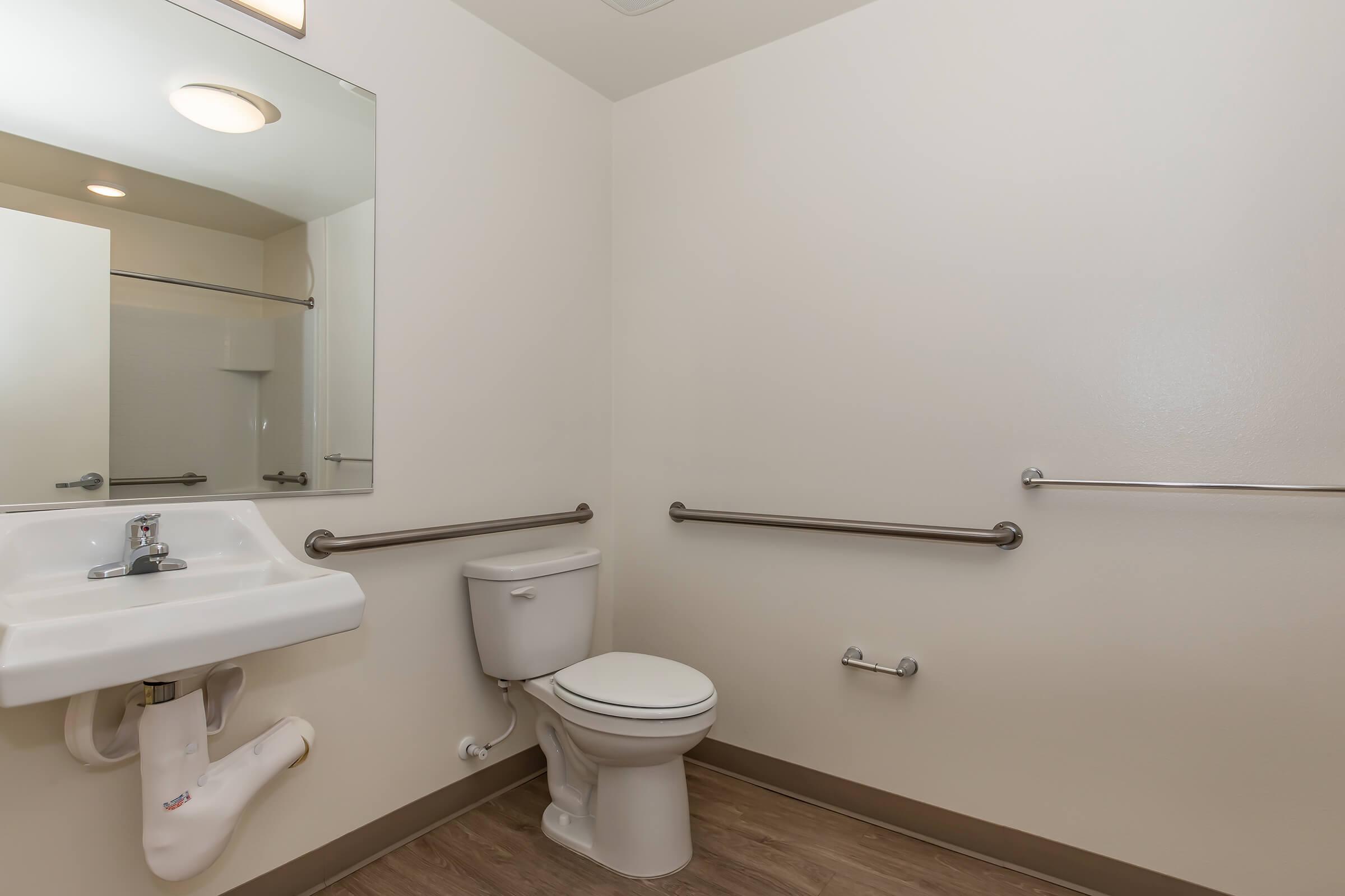 a restroom with a sink and a mirror