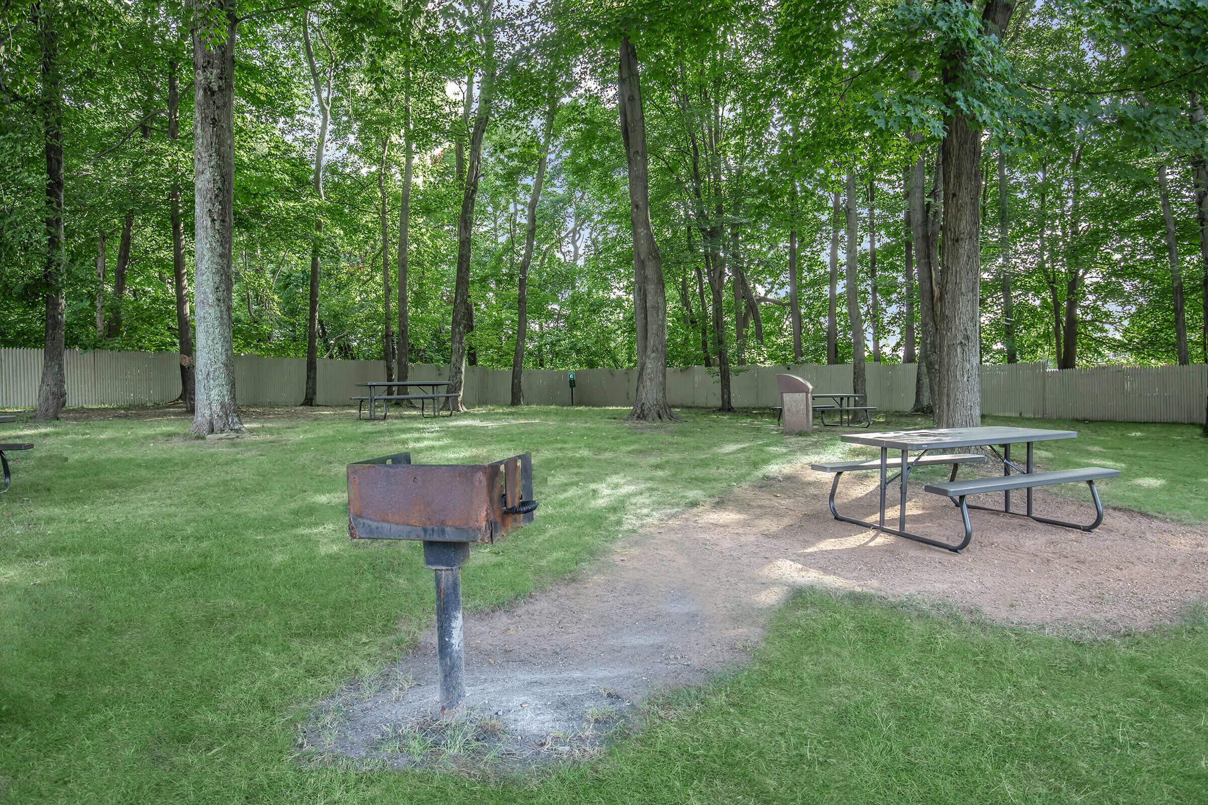 an empty park bench next to a tree