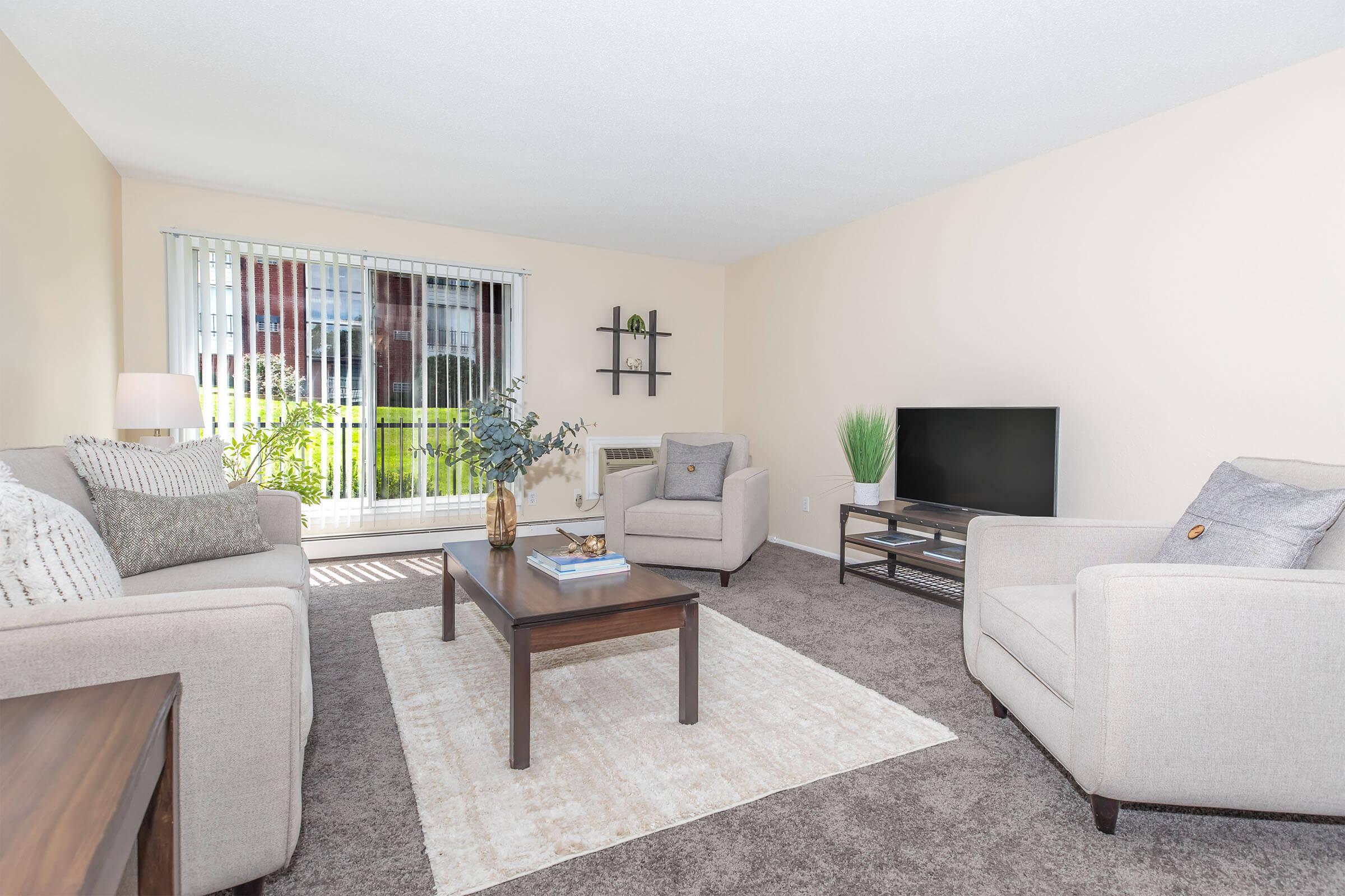 A cozy living room featuring two light gray armchairs, a wooden coffee table with a decorative plant, and a flat-screen TV on a small stand. A large window with vertical blinds allows natural light to fill the space, complemented by soft carpet and minimalistic decor, creating a welcoming atmosphere.