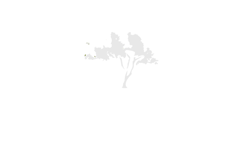 North Country Manor Apartments ebrochure logo