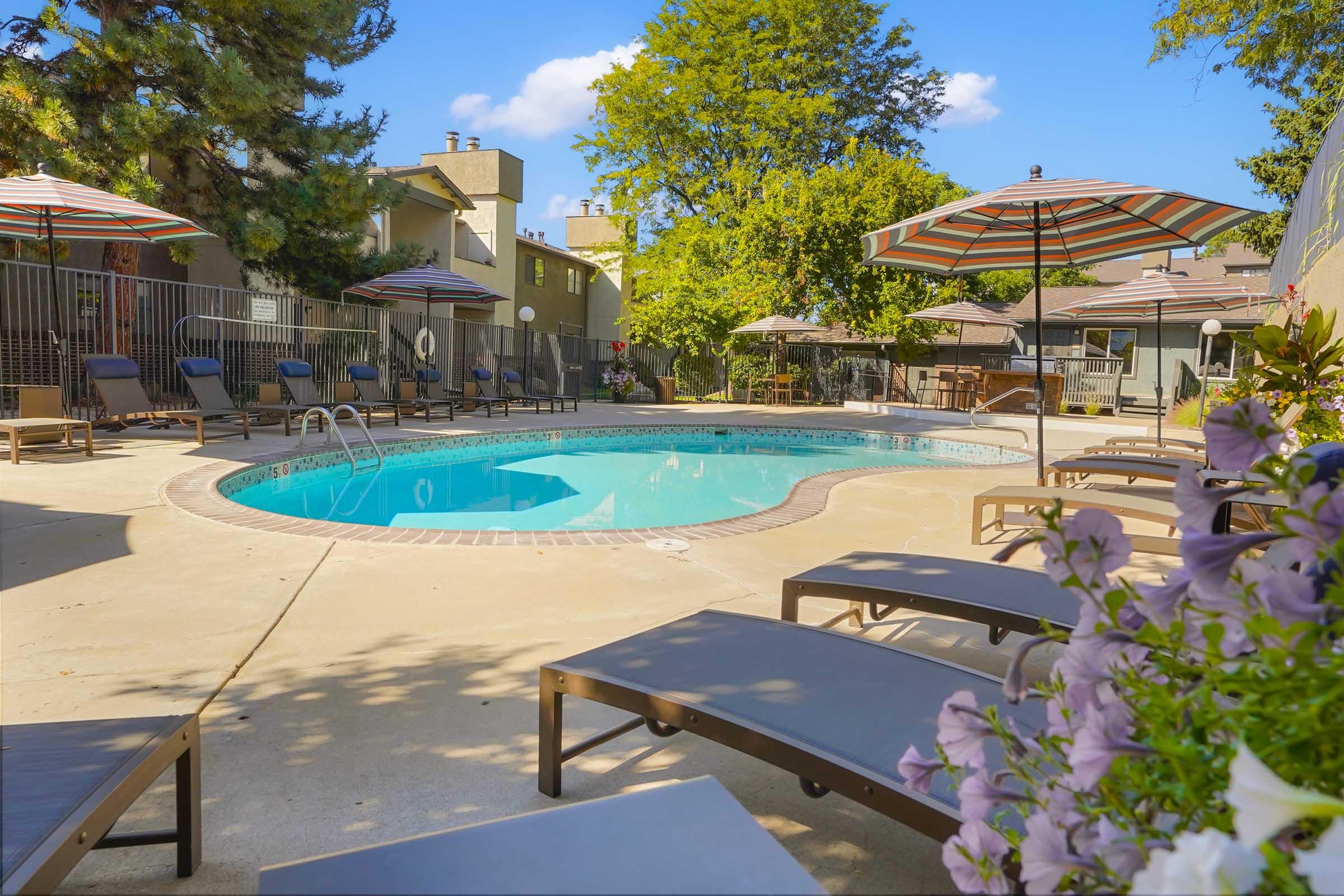 A sunny outdoor pool area with a clear blue water, surrounded by lounge chairs and colorful umbrellas. Lush green trees and shrubs provide shade, creating a relaxing atmosphere. The pool is bordered by a fence, with nearby buildings visible in the background.
