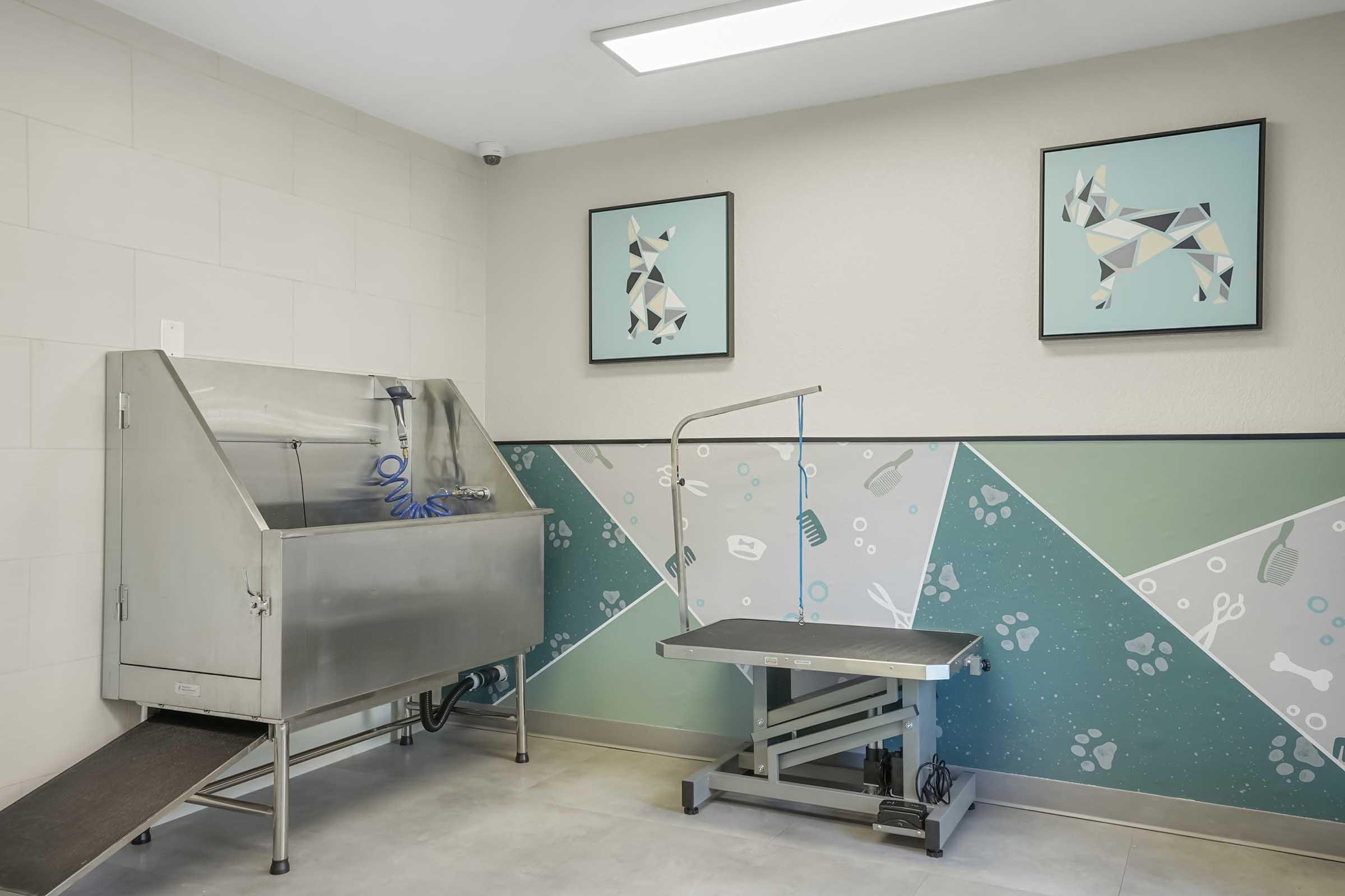 A pet grooming room featuring a stainless steel grooming tub and an adjustable grooming table. The walls are painted in soft colors with playful geometric animal artwork. Bright, well-lit, and designed for pet care, the space is functional and inviting for both pets and groomers.