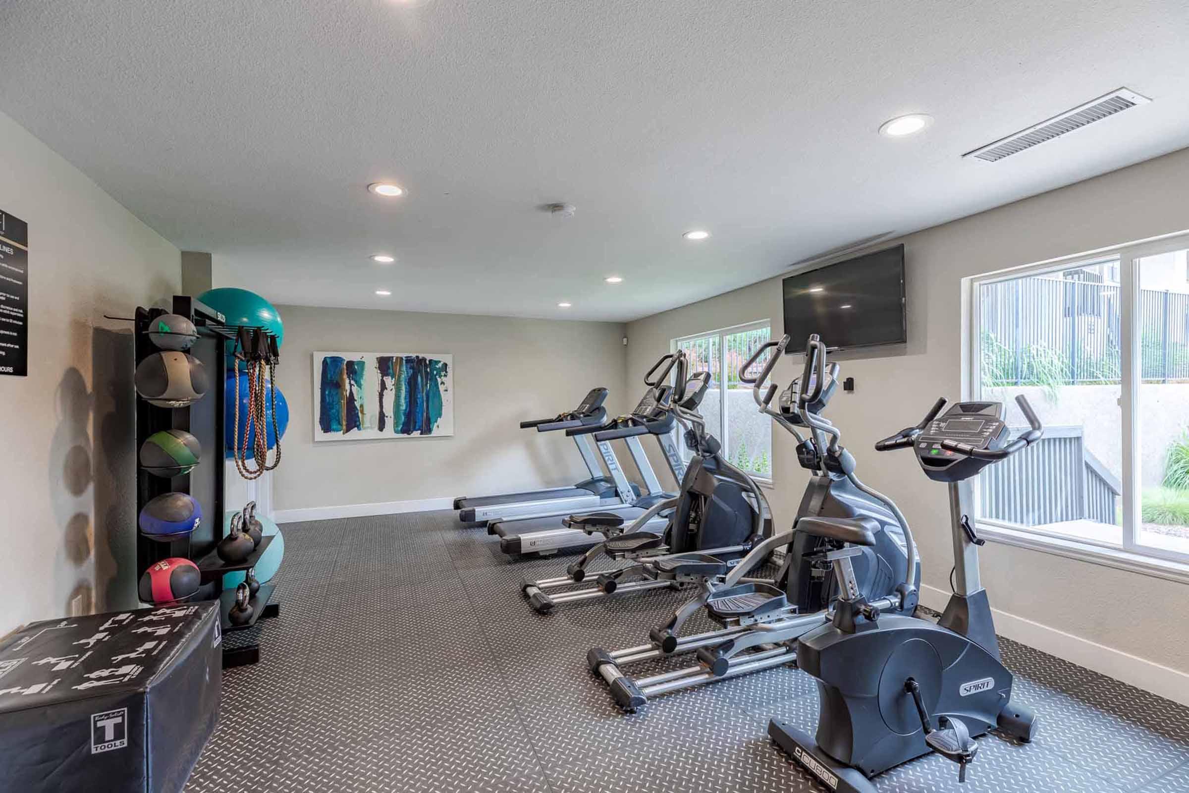 A modern gym space featuring multiple cardio machines, including treadmills and ellipticals. The room is well-lit with large windows, showcasing a minimalist design. On one side, there are exercise balls and weights, and a television is mounted on the wall.
