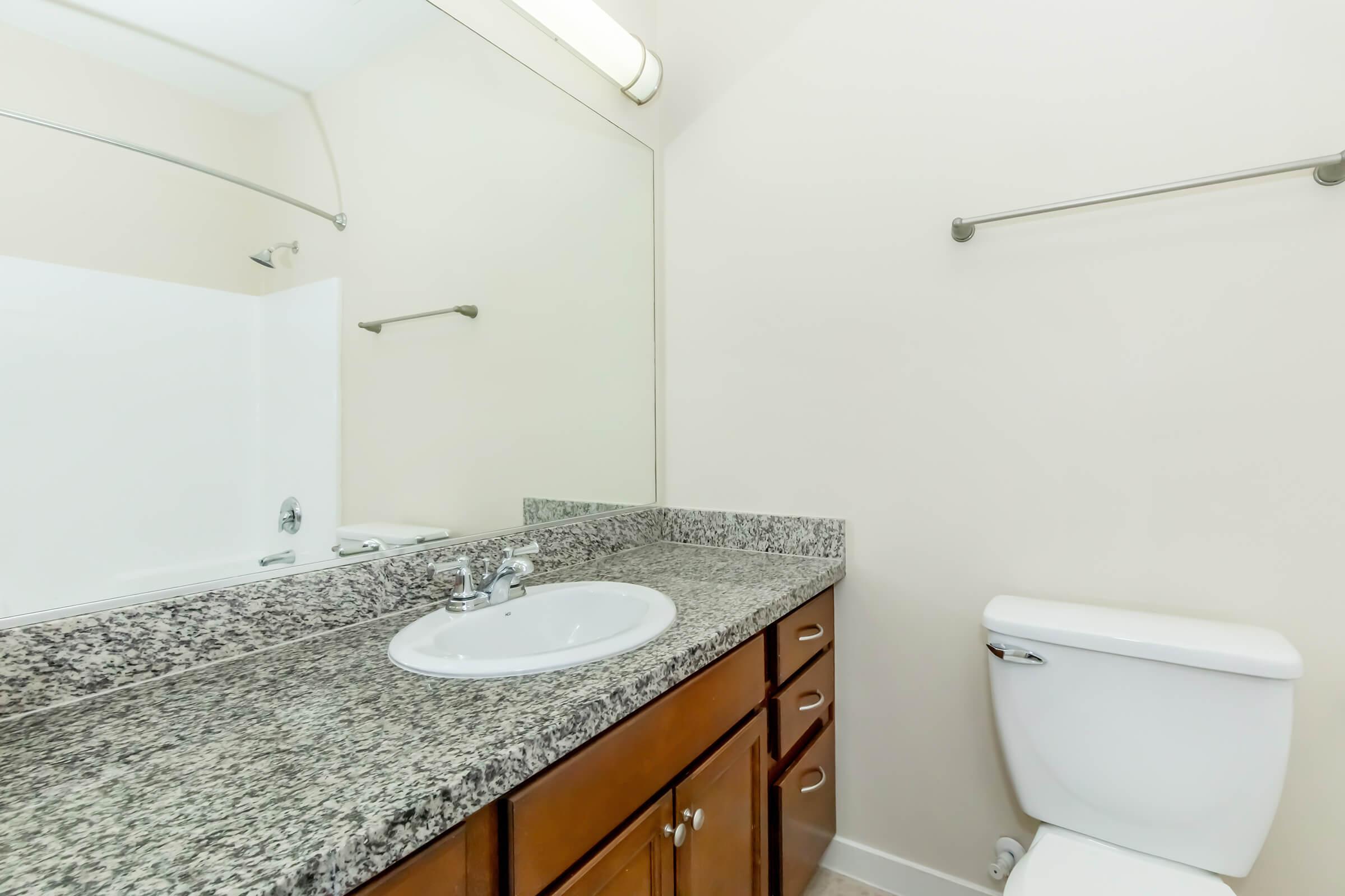 A modern bathroom featuring a granite countertop with a sink, a large mirror above the sink, a bathtub with a shower, and a white toilet. The walls are painted a neutral color, and there is a towel bar beside the bathtub. Natural light illuminates the space.