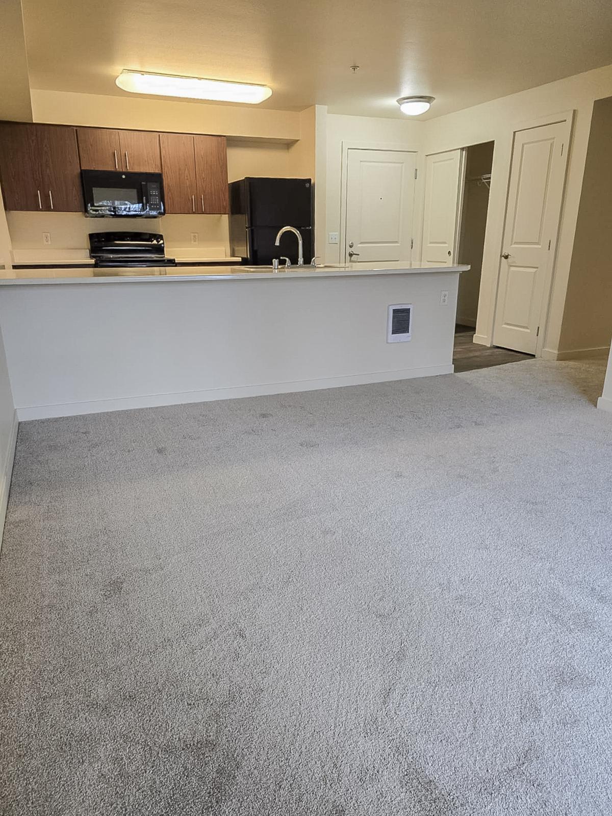A spacious, well-lit apartment interior featuring a kitchen area with dark wood cabinets, a black refrigerator, and a countertop. The living space has light gray carpeting and leads to a hallway with a closed door, closet, and a bathroom entrance, creating a cozy and inviting atmosphere.