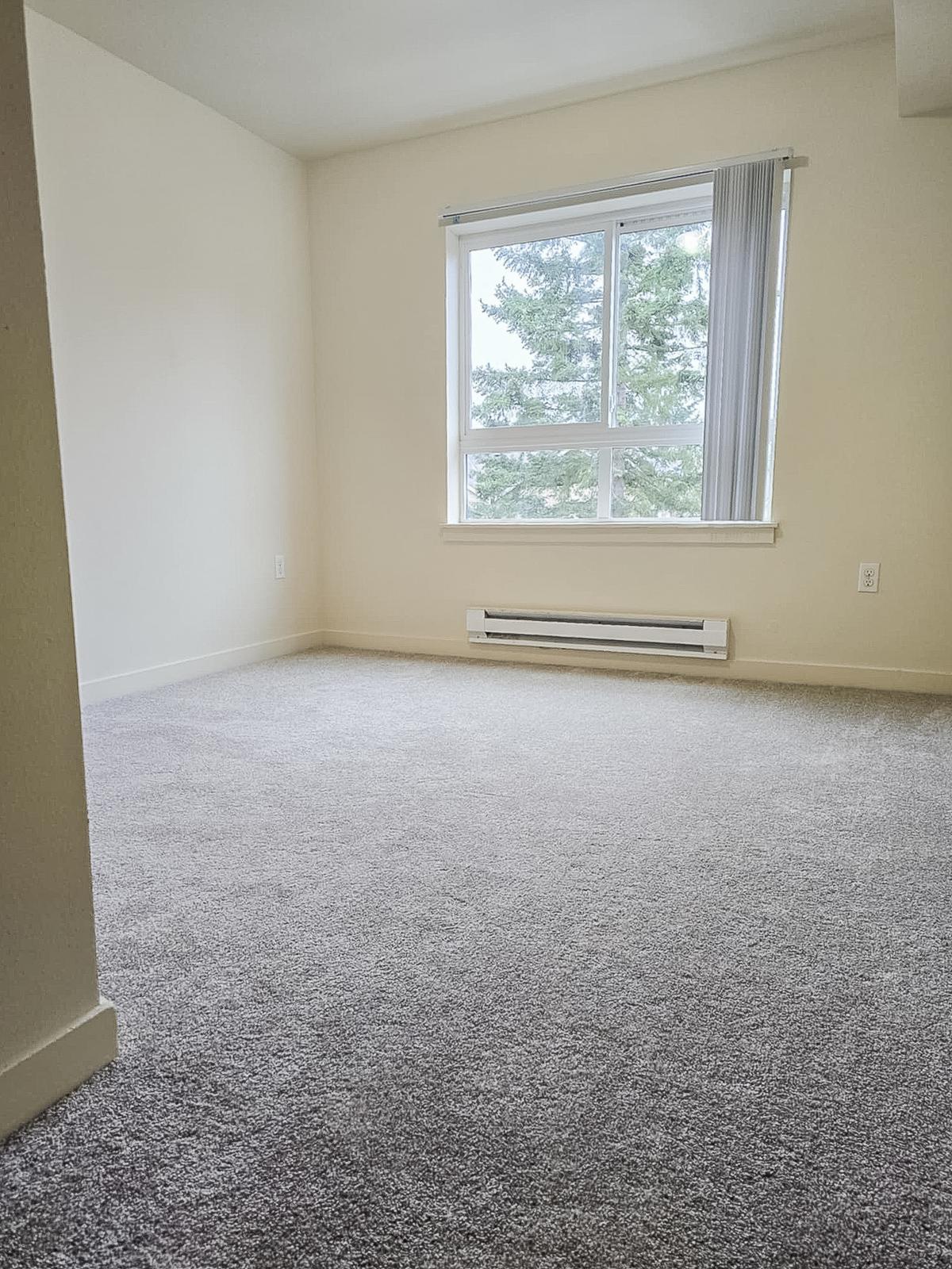 A vacant room with light-colored walls and gray carpet. A large window lets in natural light, offering a view of trees outside. The room has a heater along the wall and no furniture, creating a spacious and airy feel. The overall ambiance is calm and inviting.