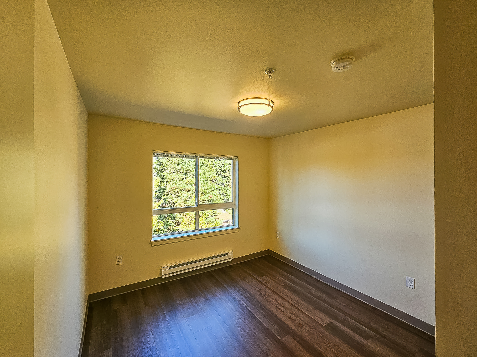 A small, empty room with light yellow walls and a large window allowing natural light. The flooring is dark and wooden. A ceiling light fixture is present, and there's a heating unit along the wall below the window. The overall space appears clean and well-lit, suitable for use as a bedroom or office.