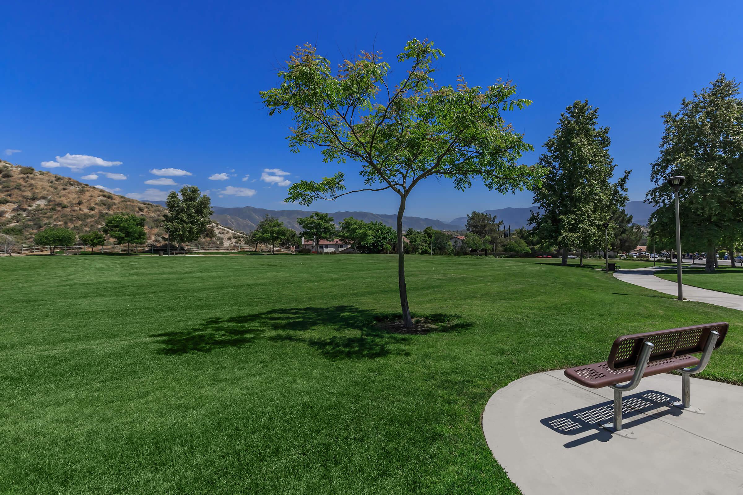 a bench in a grassy field