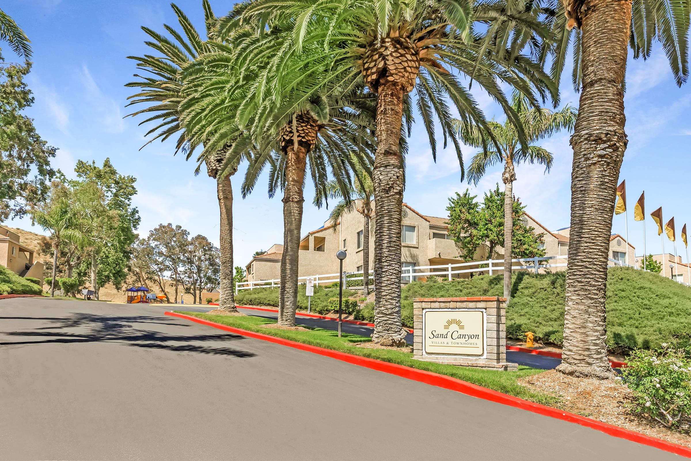 a group of palm trees on the side of a road