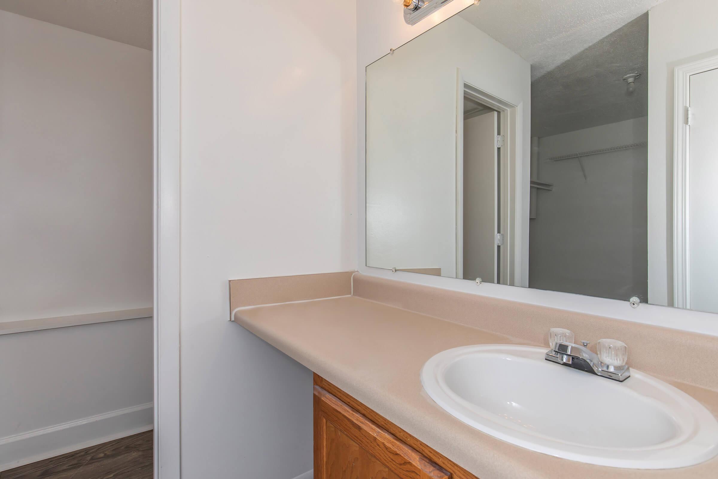 a sink and a mirror
