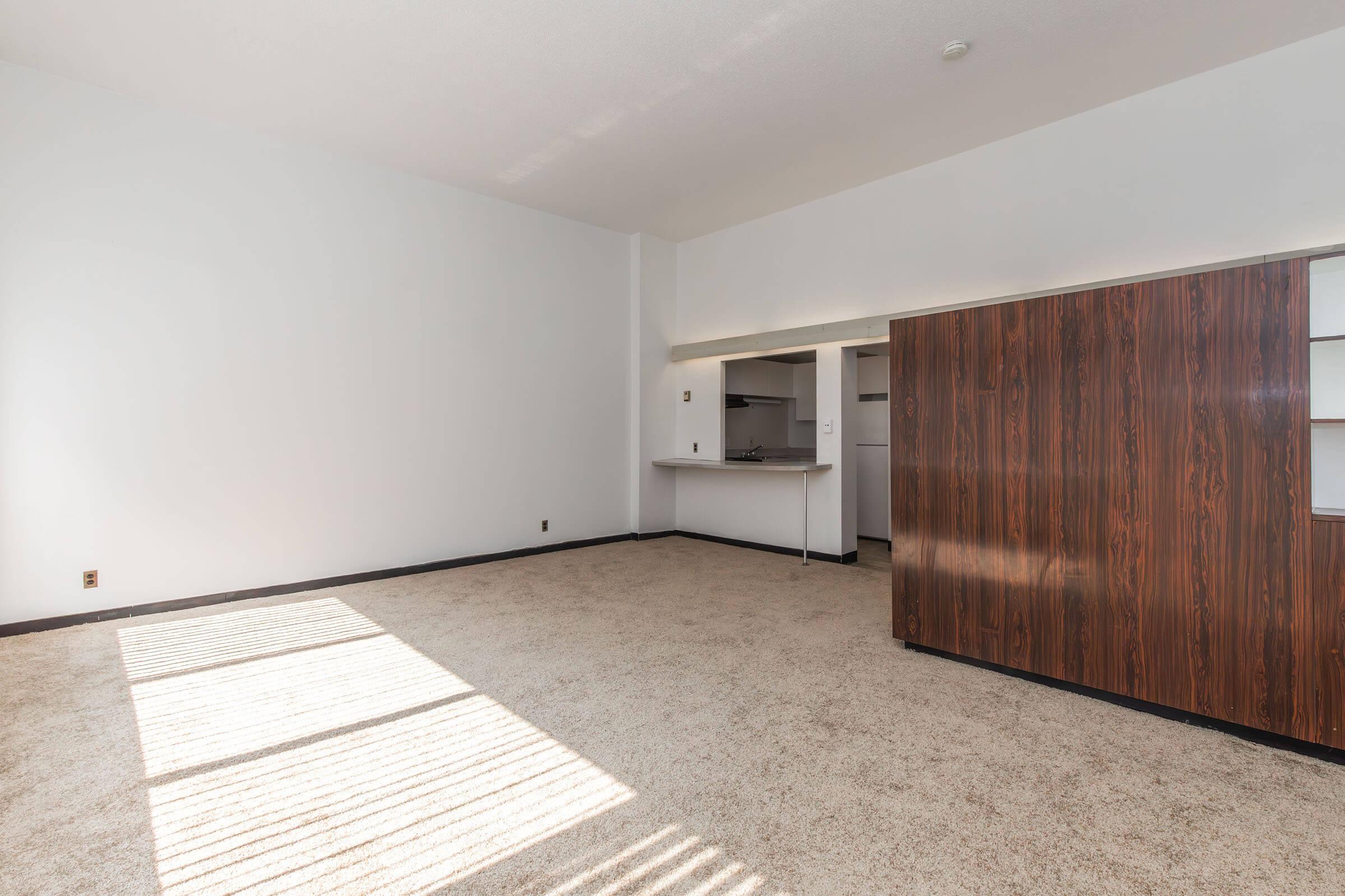 A spacious, empty room with light-colored walls and a large window allowing sunlight to filter in. The floor is covered in beige carpet. On one side, there’s a wooden panel with built-in shelves, and a small kitchen area is partially visible in the background.