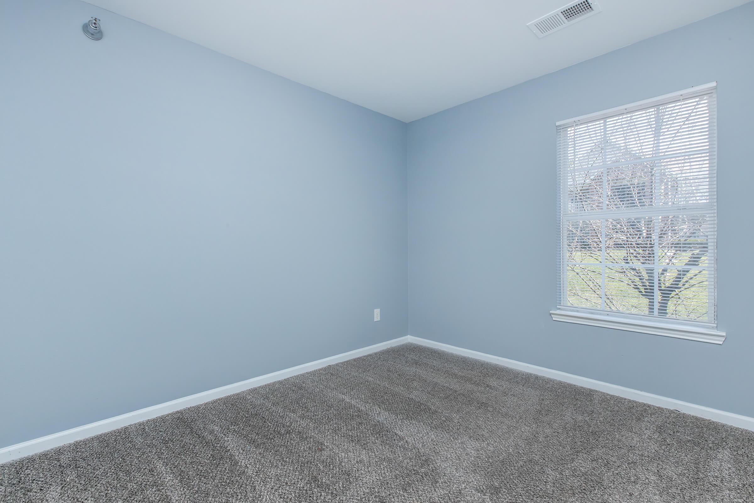 Empty room with light blue walls and a window featuring white blinds. The floor is covered in beige carpet. Natural light filters in through the window, illuminating the space. The room appears clean, uncluttered, and ready for furnishing.
