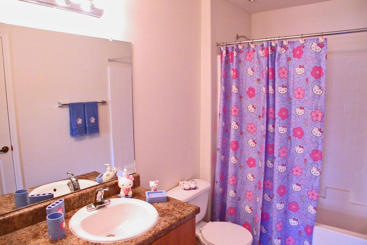 a shower curtain next to a sink