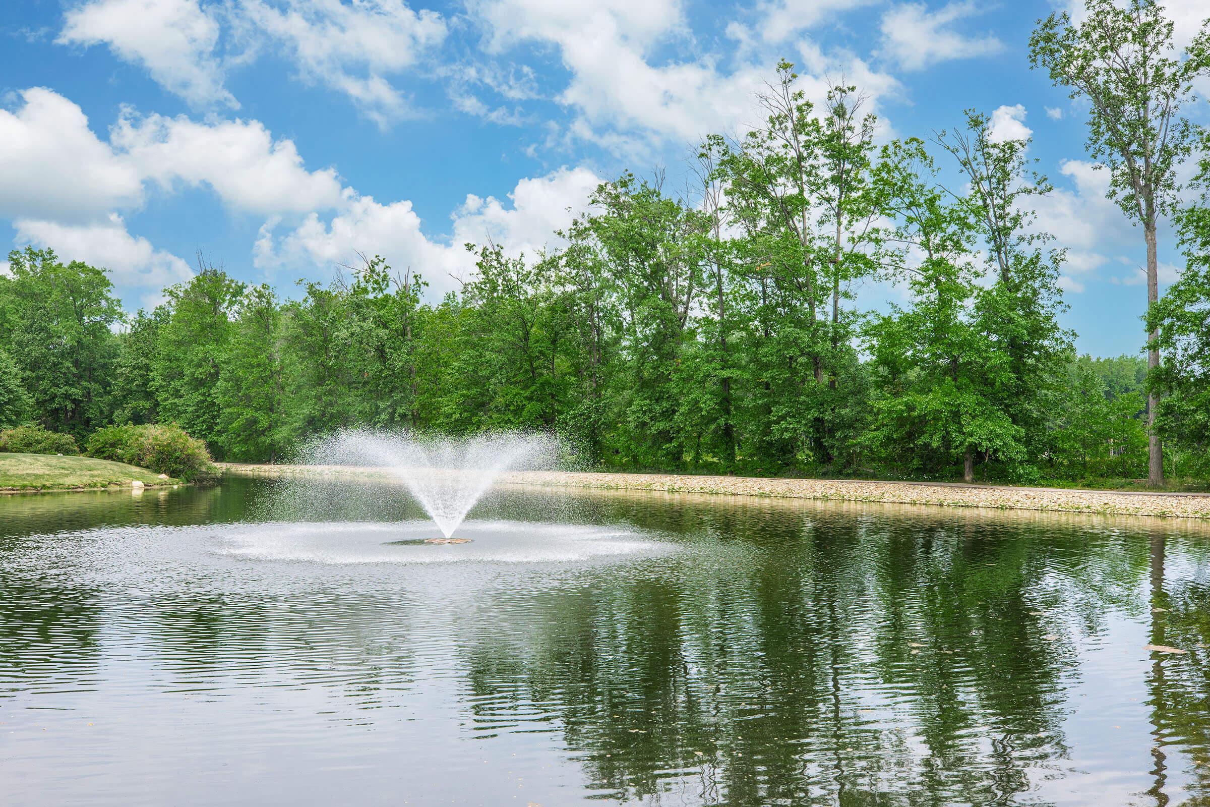 a body of water surrounded by trees