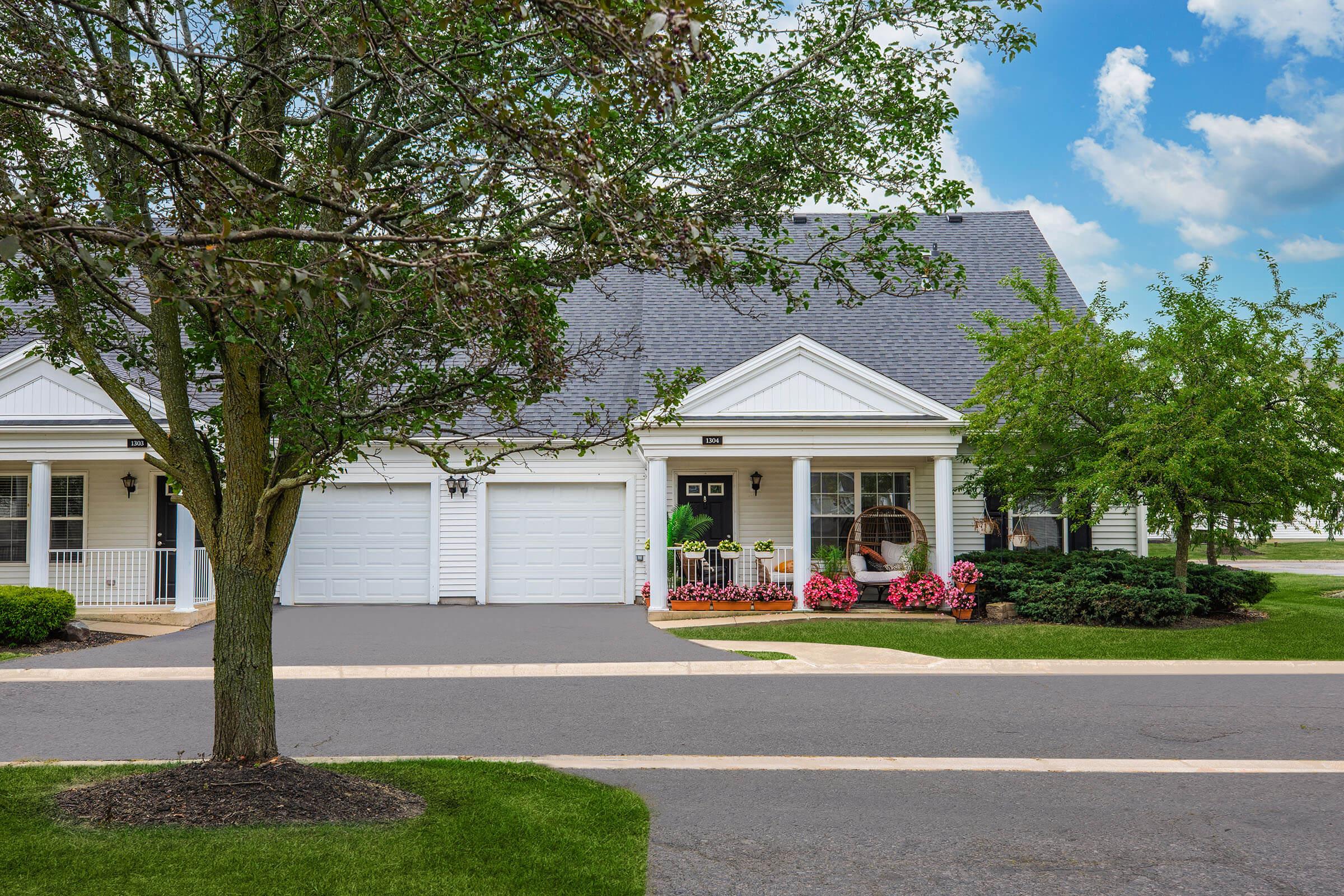 a tree in front of a house with Little White House in the background