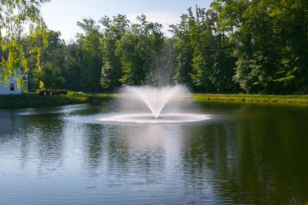 a body of water surrounded by trees