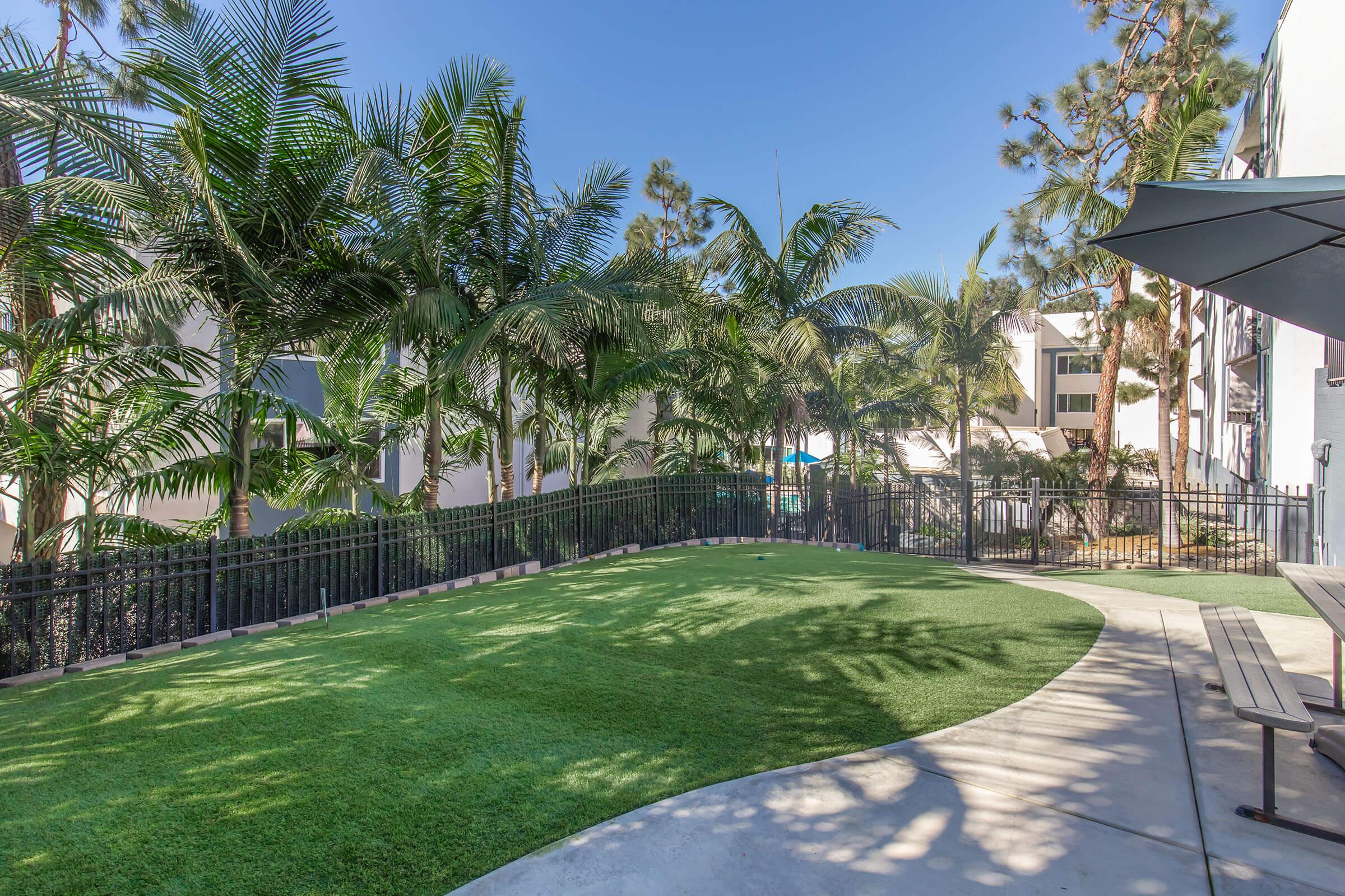 A well-maintained outdoor space featuring lush palm trees and manicured grass, with a curved green lawn and a black fence. Sunlight casts shadows across the area, providing a serene atmosphere perfect for relaxation. Nearby, there is a shaded seating area with picnic tables.