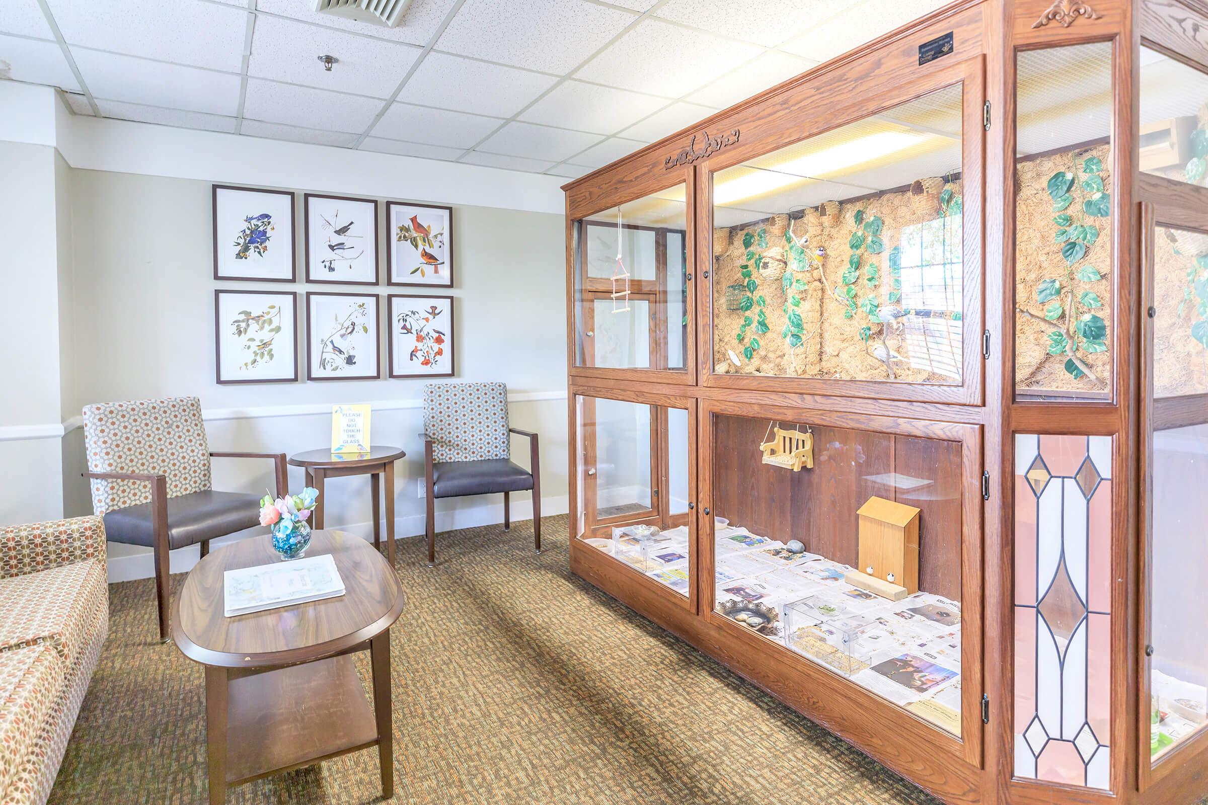 A cozy waiting area featuring a wooden display case with plants, a small wooden model inside, and framed botanical art on the wall. There’s a coffee table with a flower arrangement and two patterned chairs, creating a welcoming atmosphere.