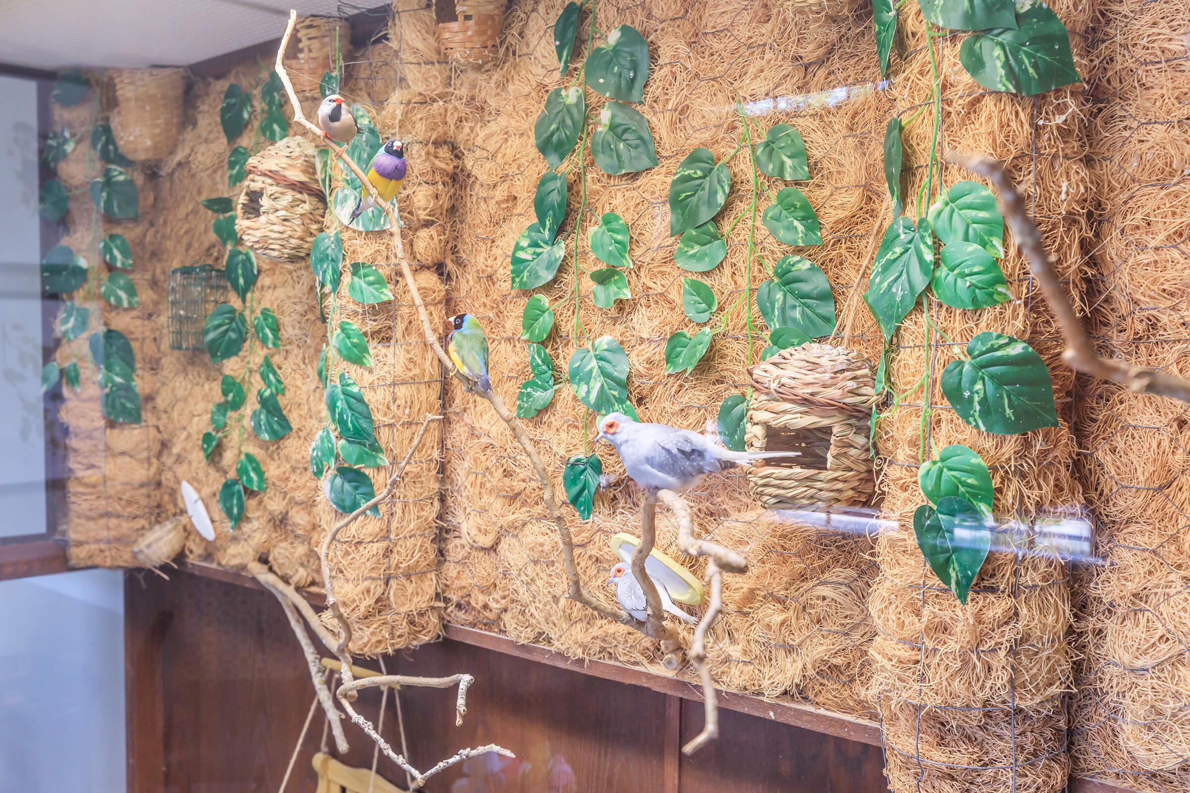 A decorative bird enclosure featuring various artificial plants, woven nests, and branches. Several small, colorful birds are perched among the foliage, creating a lively and naturalistic environment. The background consists of textured straw-like material, enhancing the aesthetic of the habitat.