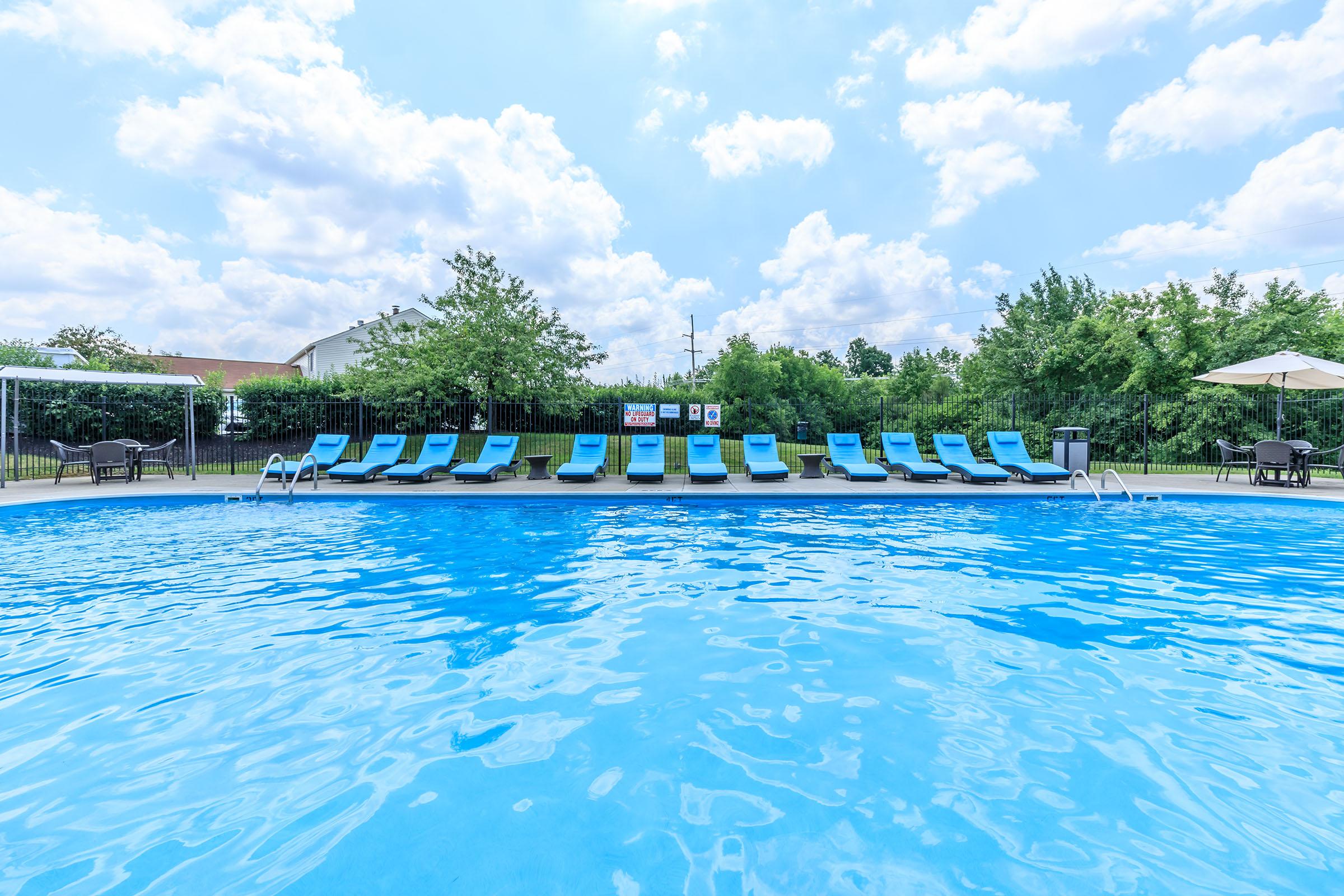 a group of people swimming in a pool of water