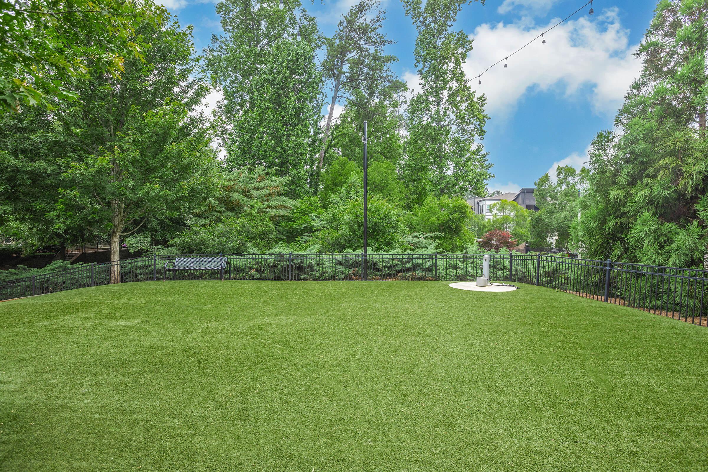 A spacious, green outdoor area featuring artificial grass, surrounded by lush trees and shrubs. There are decorative string lights overhead and a cement circle in the center. A bench is visible in the background, providing a peaceful and inviting atmosphere for relaxation.