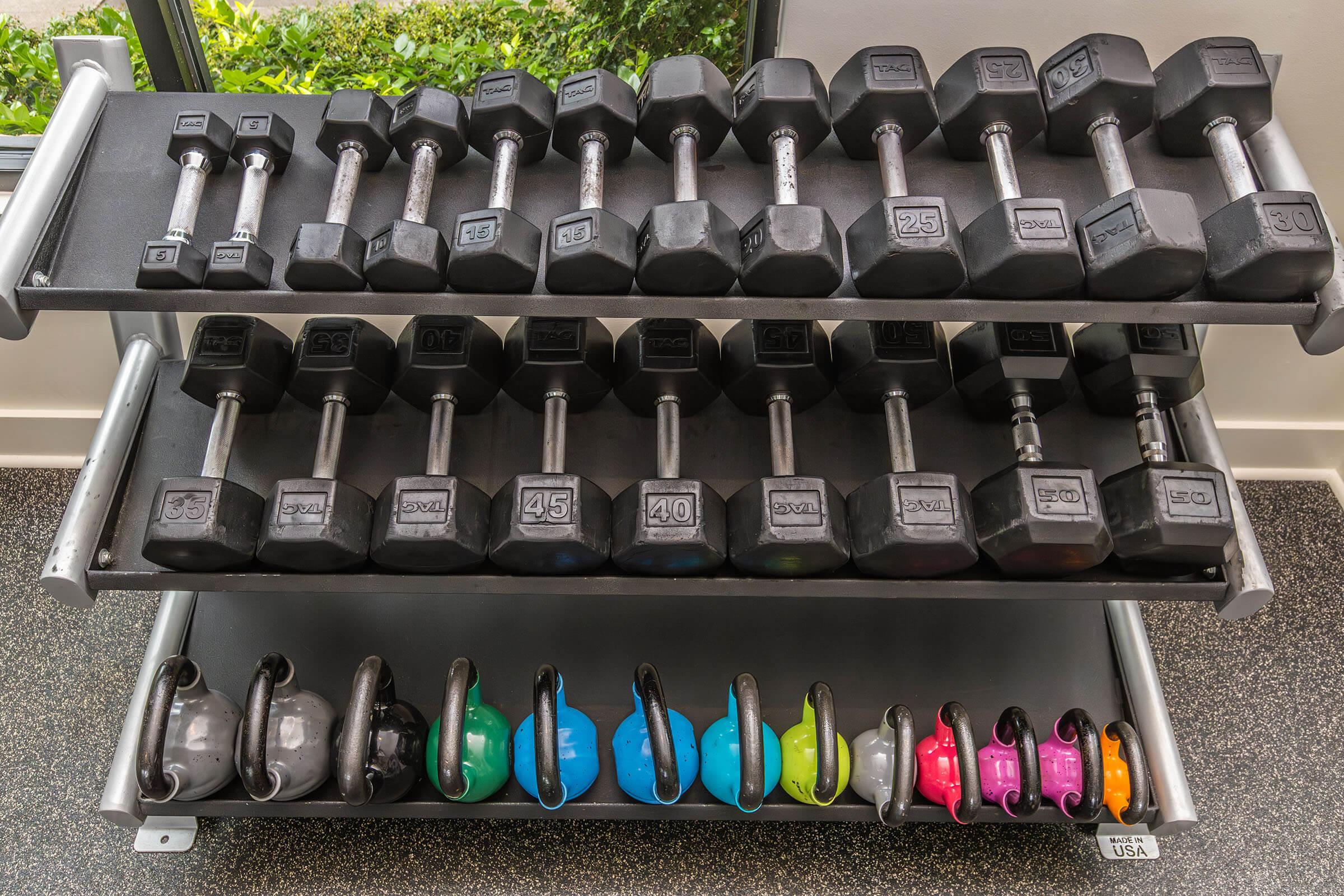 A fitness equipment rack displaying various dumbbells ranging from 5 to 50 pounds on the top two shelves. The bottom shelf features a selection of colorful kettlebells in different weights, arranged from lighter to heavier, against a backdrop of a well-lit gym environment with greenery outside.
